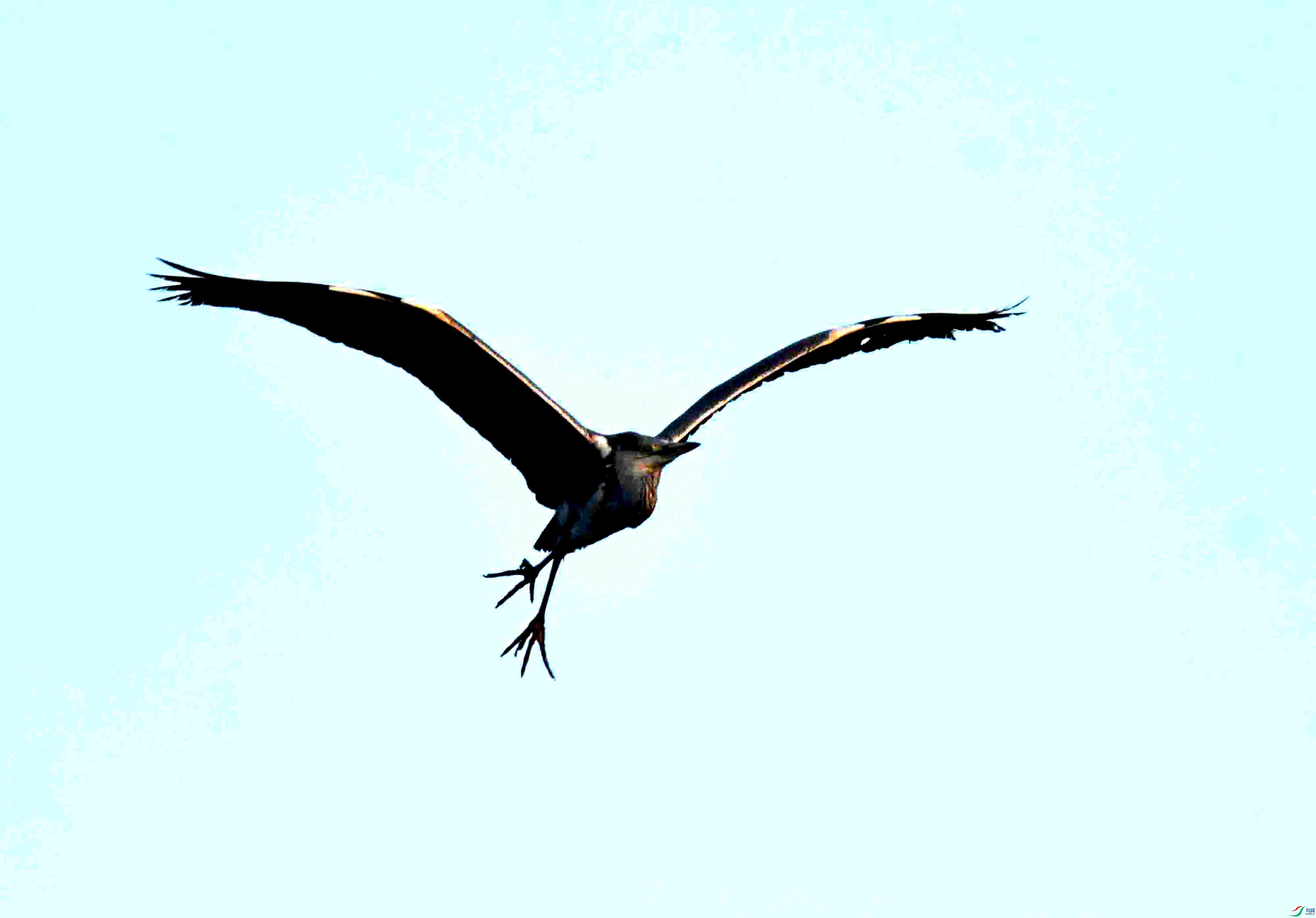 DSC_1521.JPG