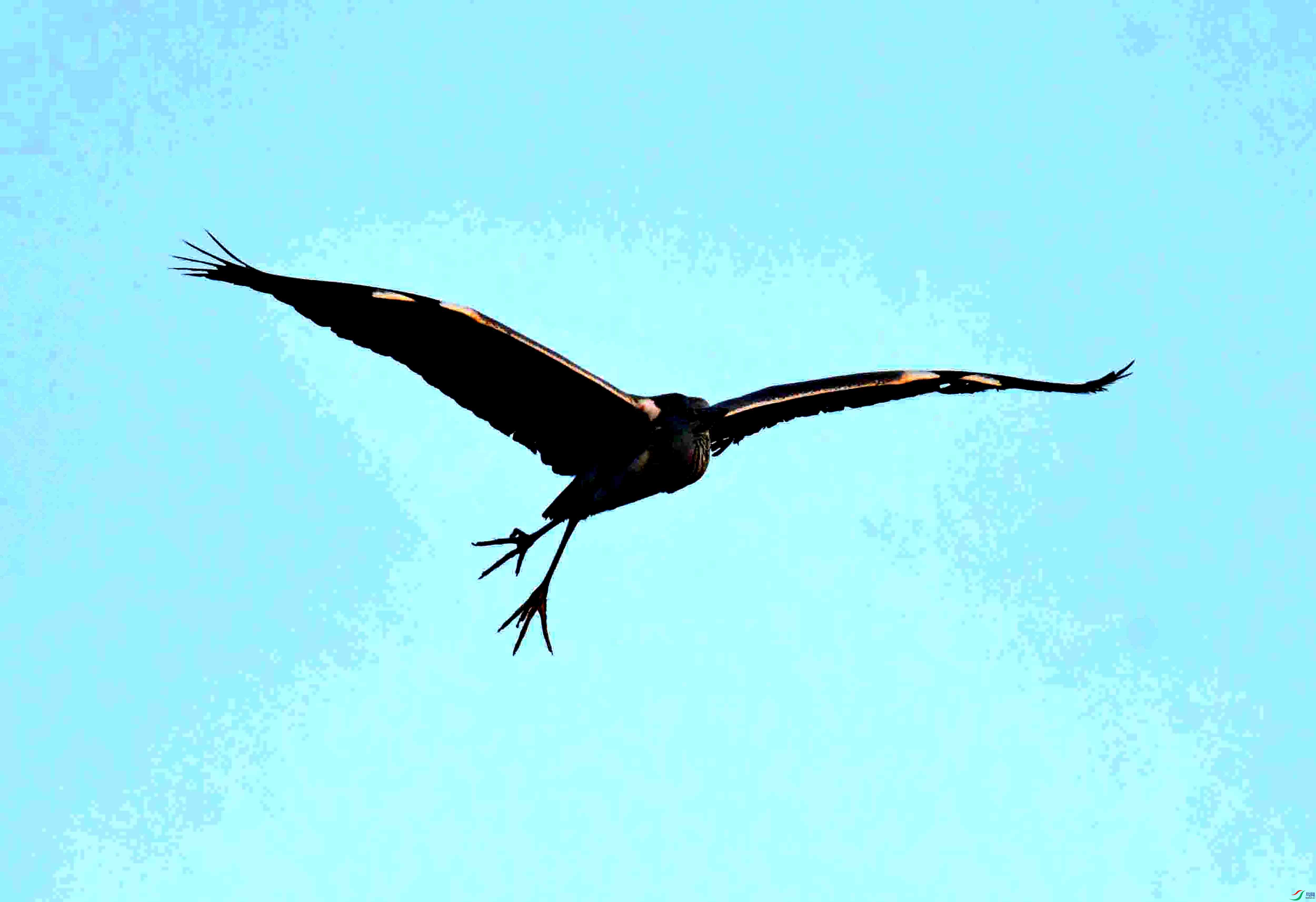 DSC_1523.JPG