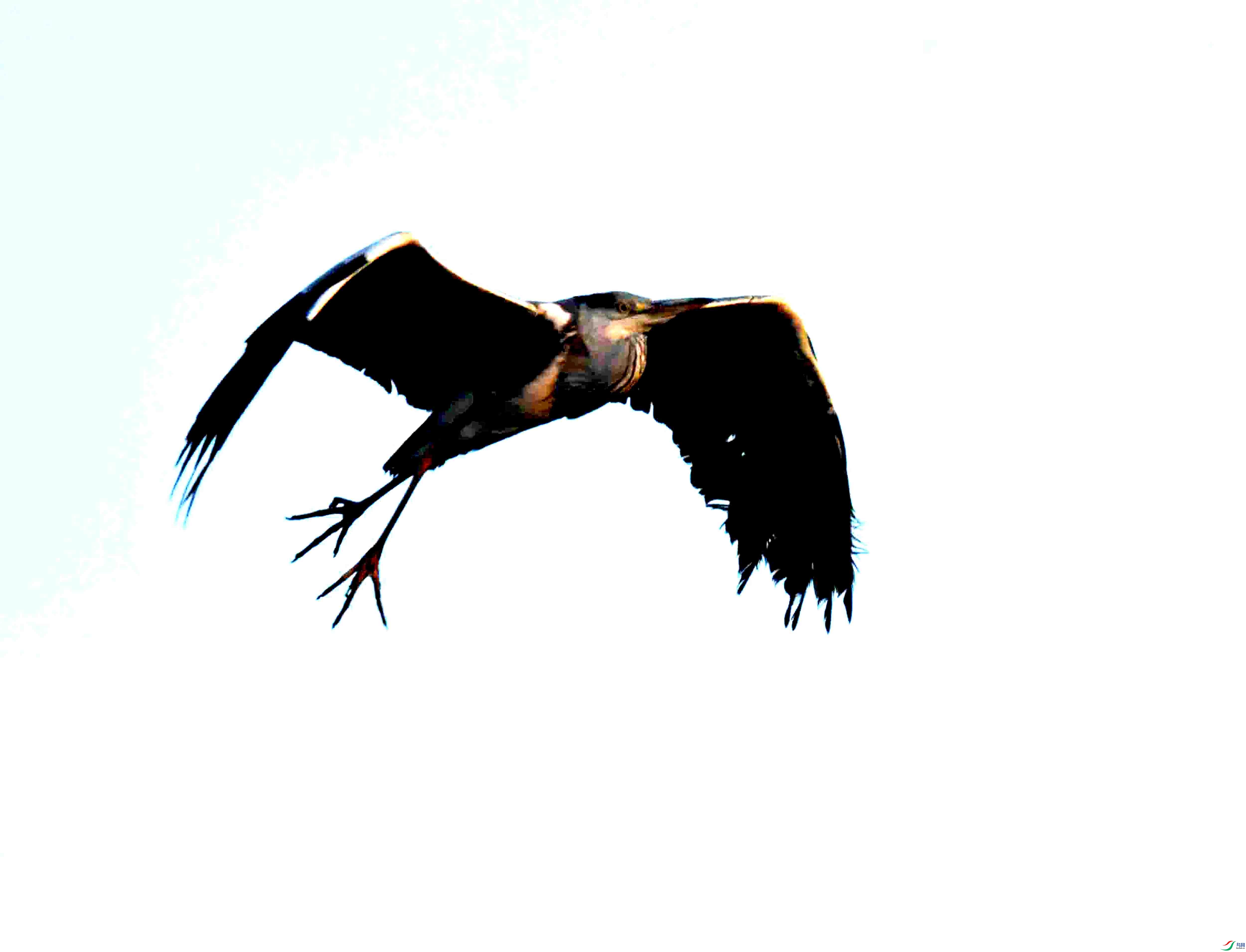 DSC_1528.JPG
