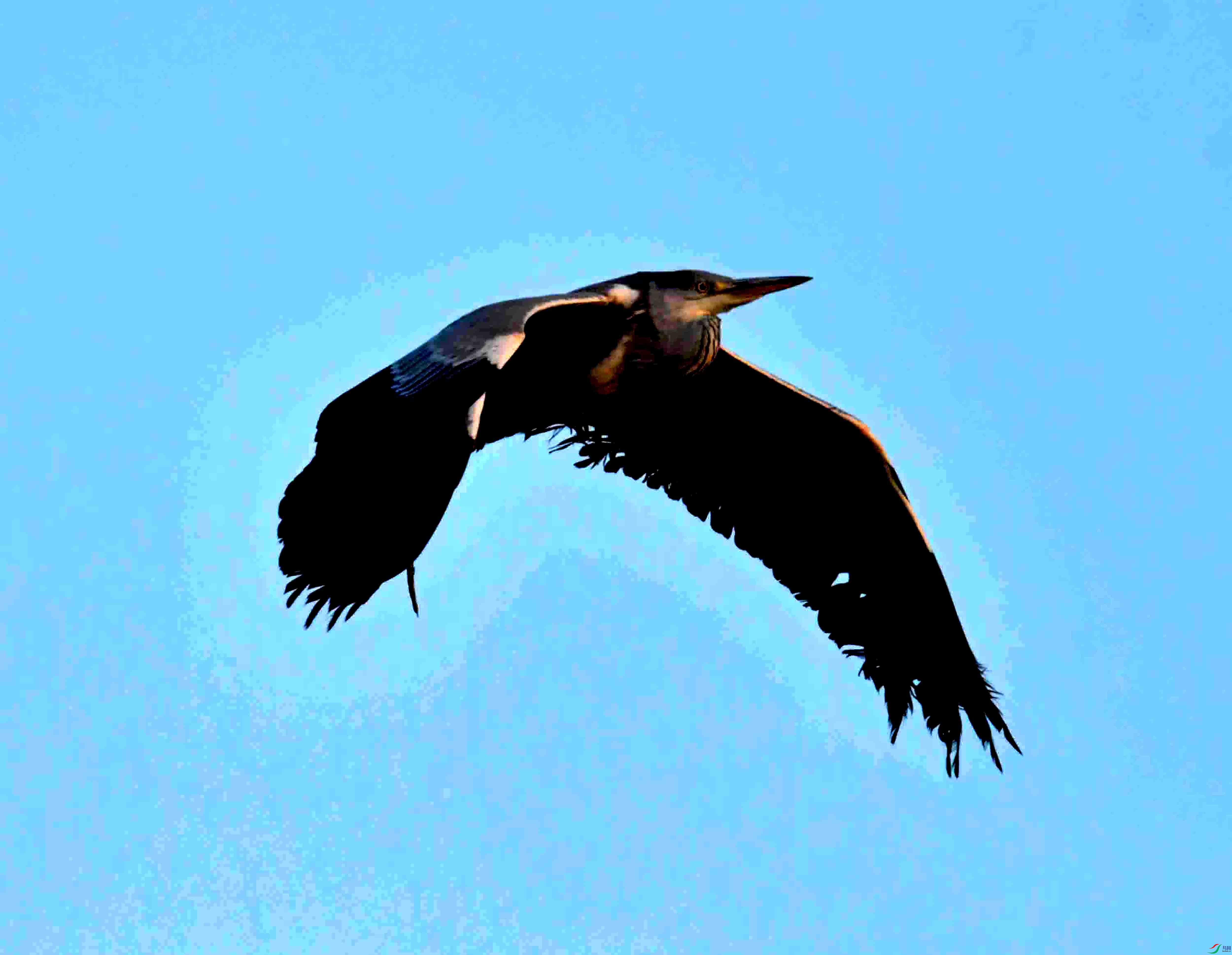 DSC_1530.JPG