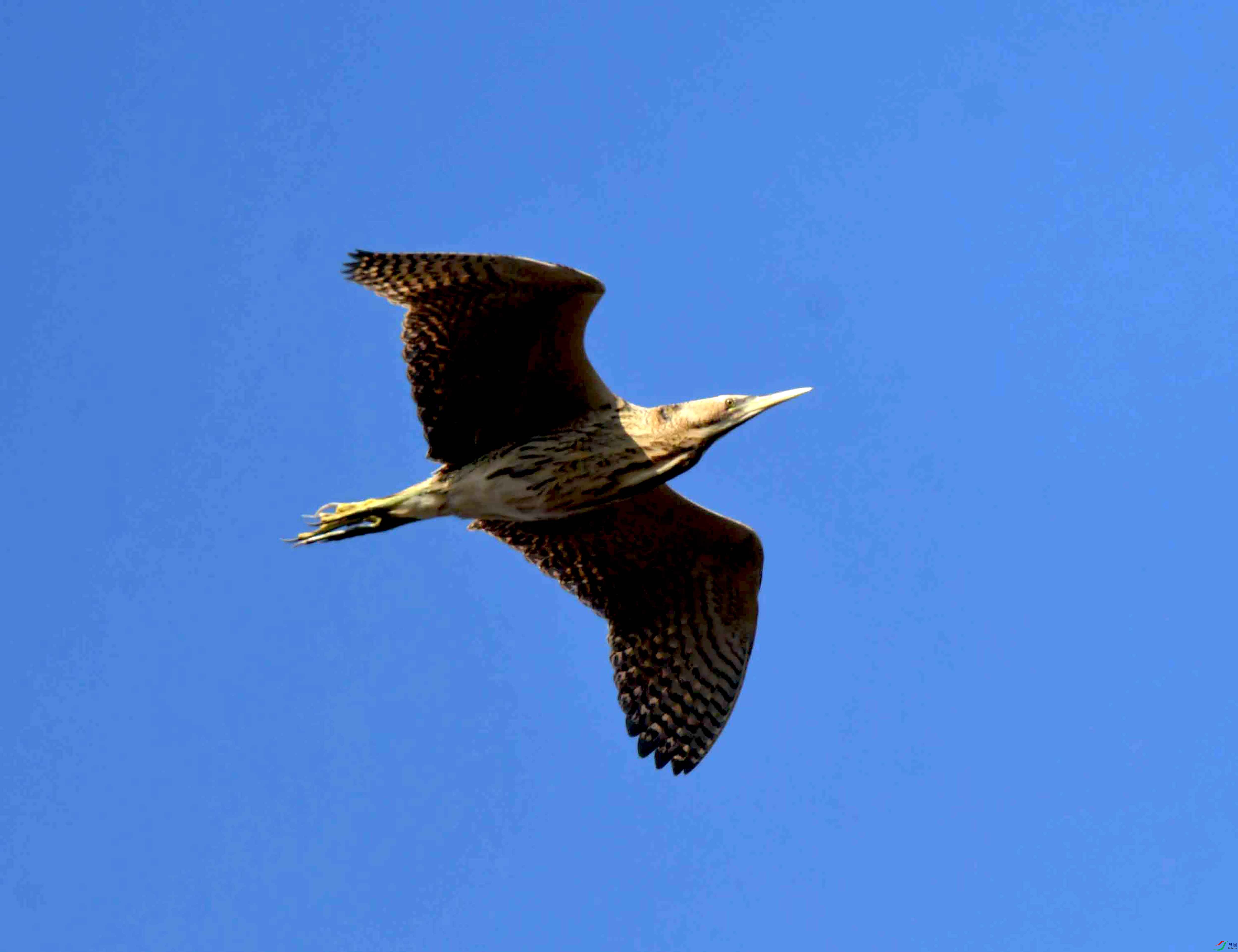 DSC_0762.JPG