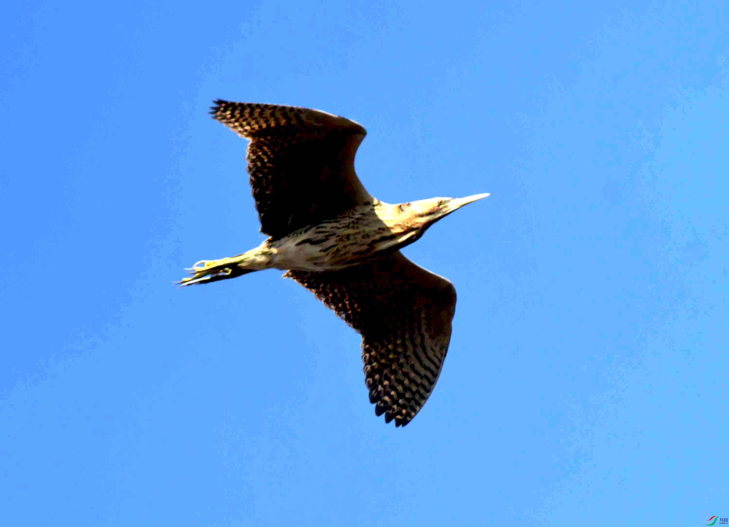 DSC_0763.JPG