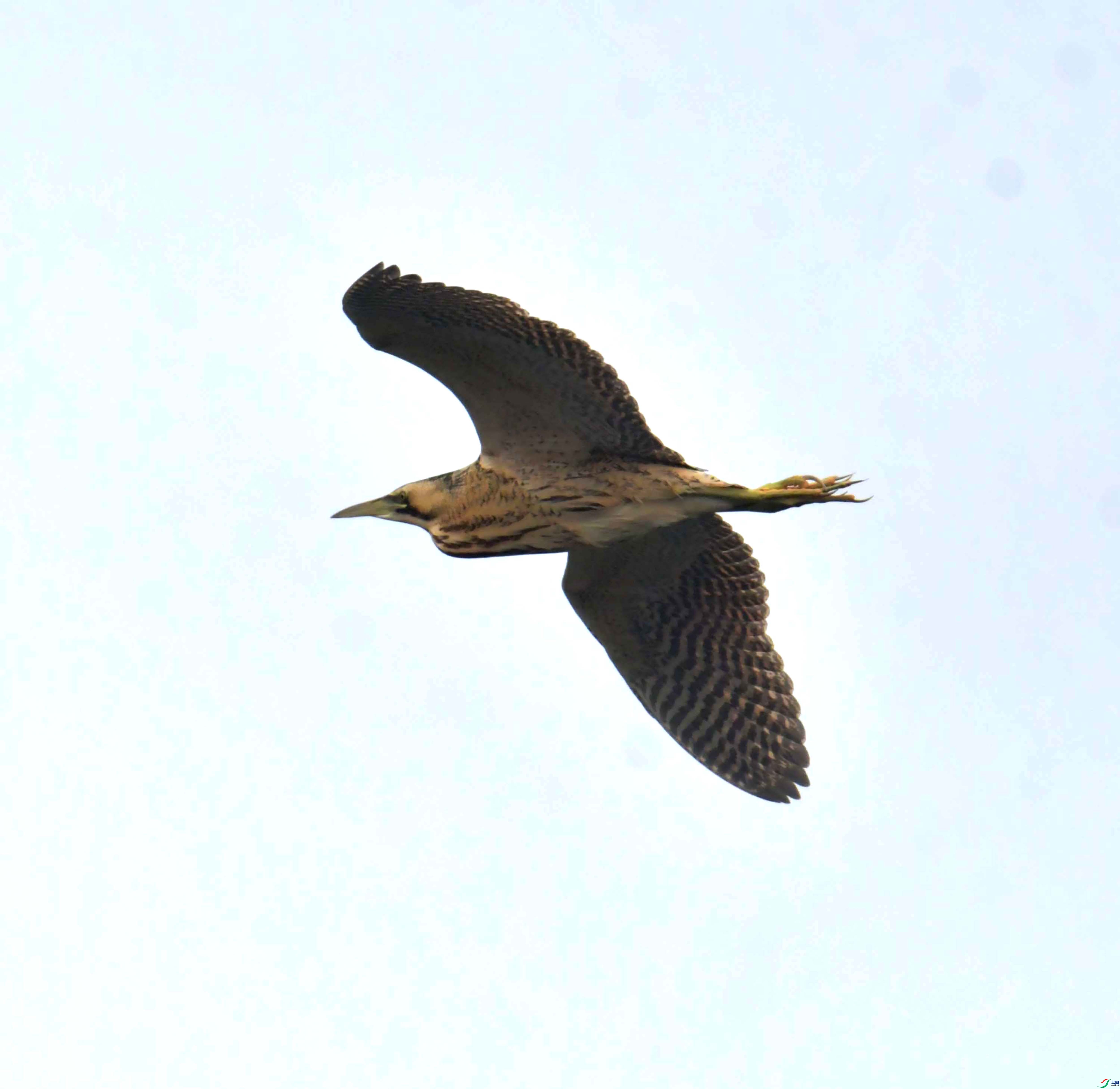 DSC_3908.JPG