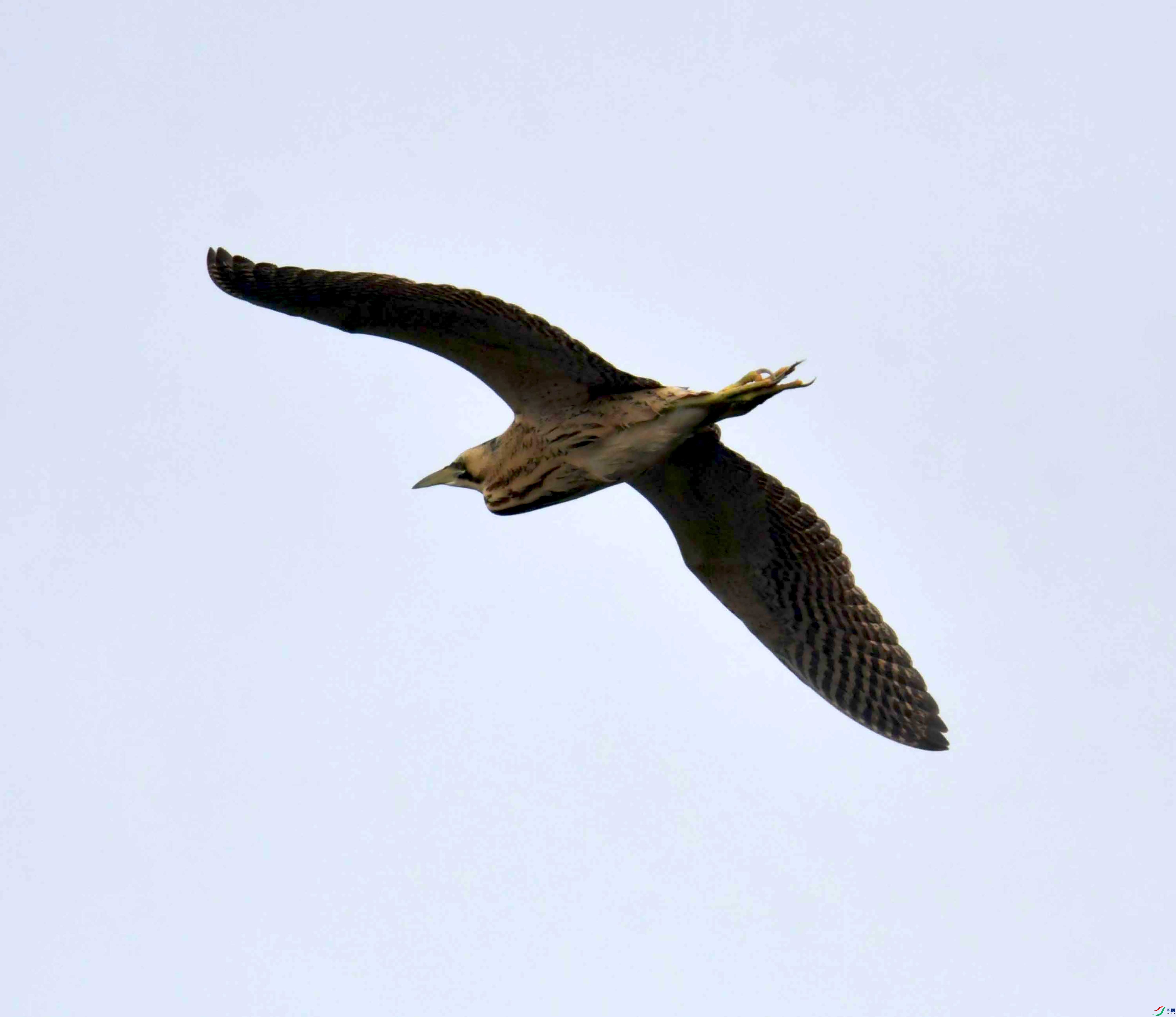 DSC_3909.JPG