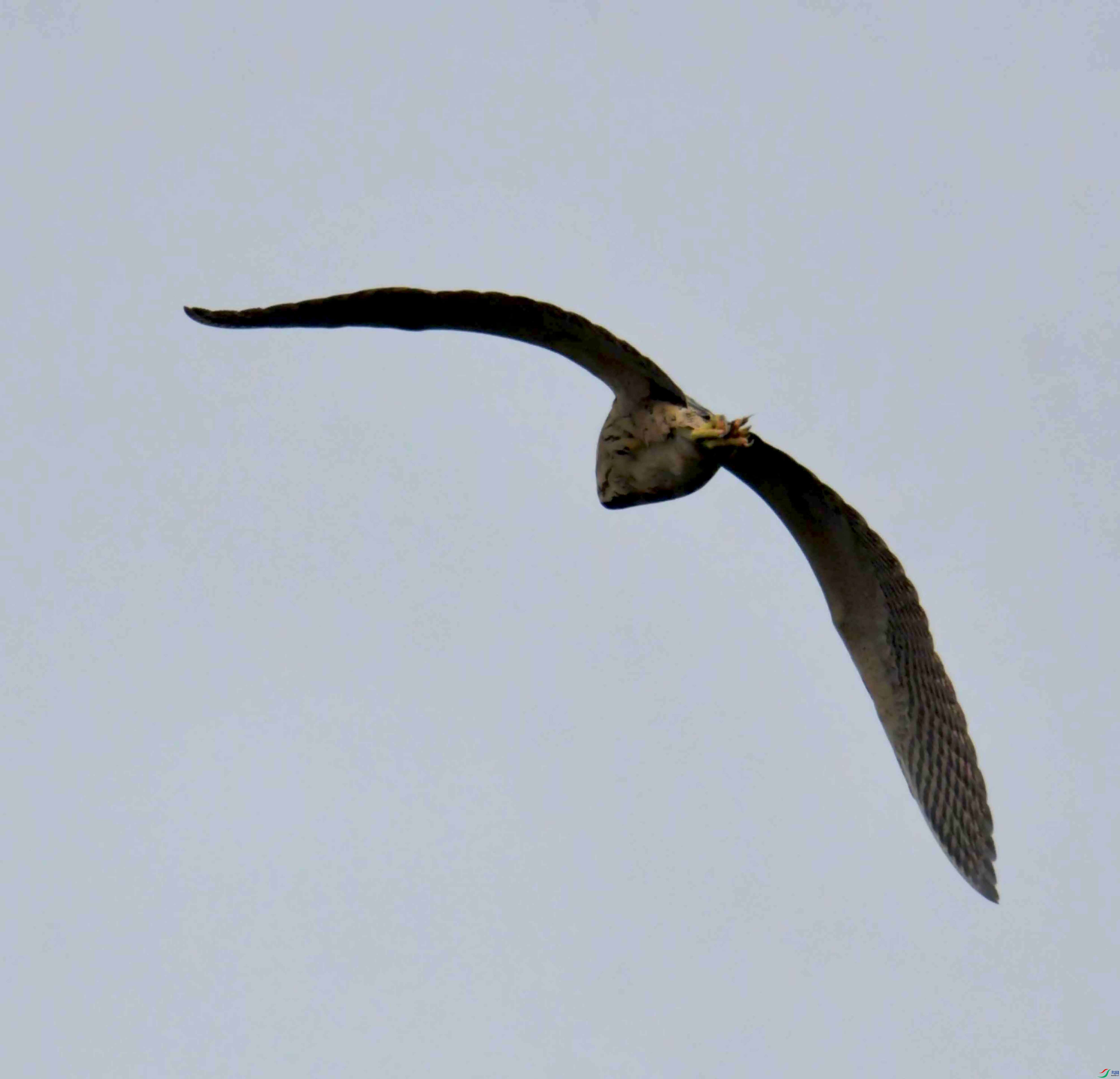 DSC_3911.JPG