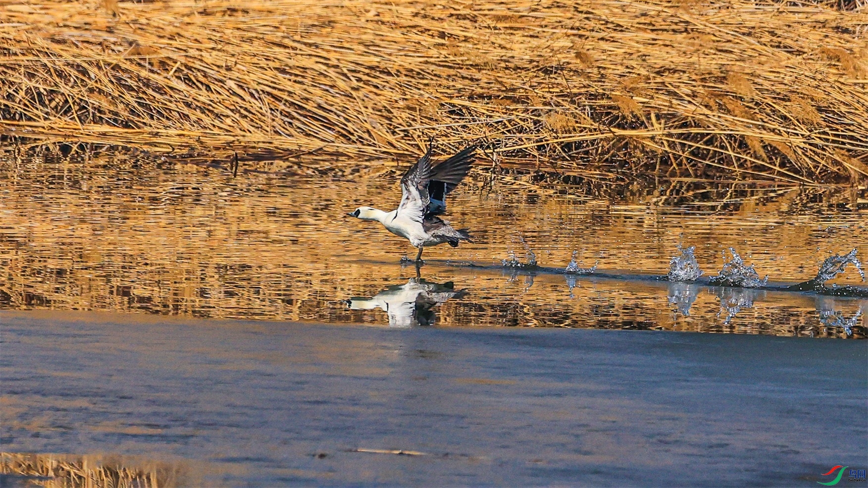 1K3A6311 ����1.jpg