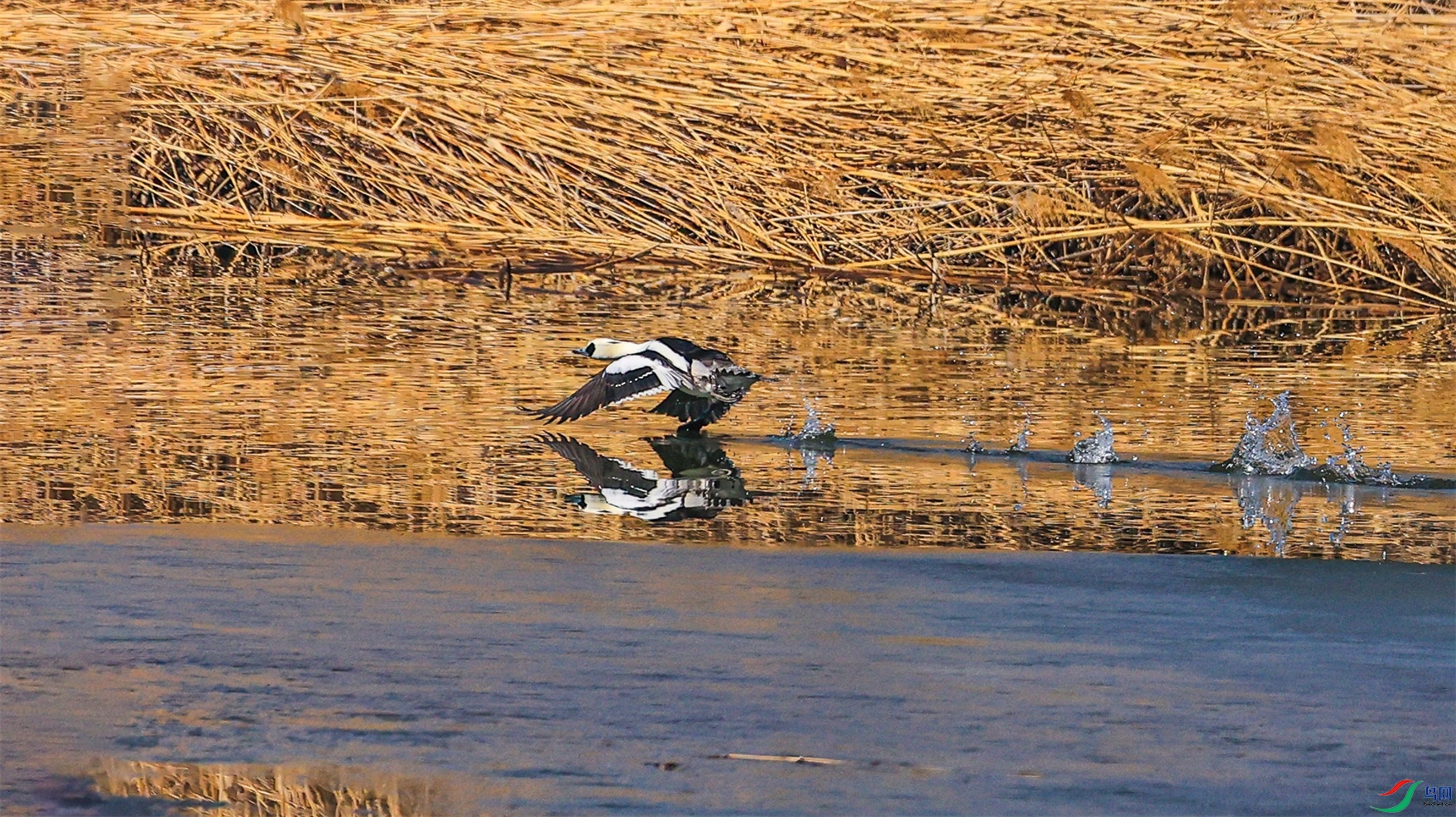 1K3A6312 ����1.jpg