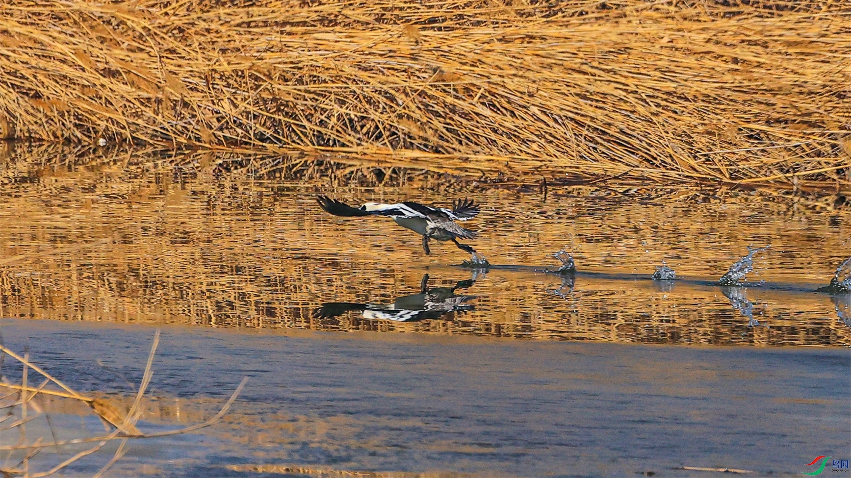 1K3A6315 ����1.jpg