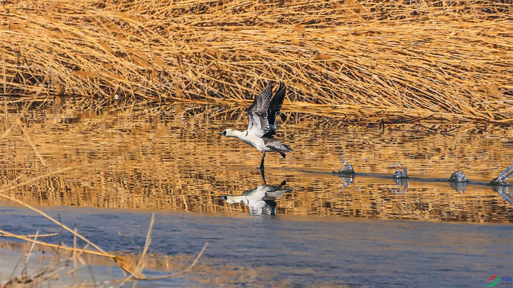 1K3A6316 ����1.jpg