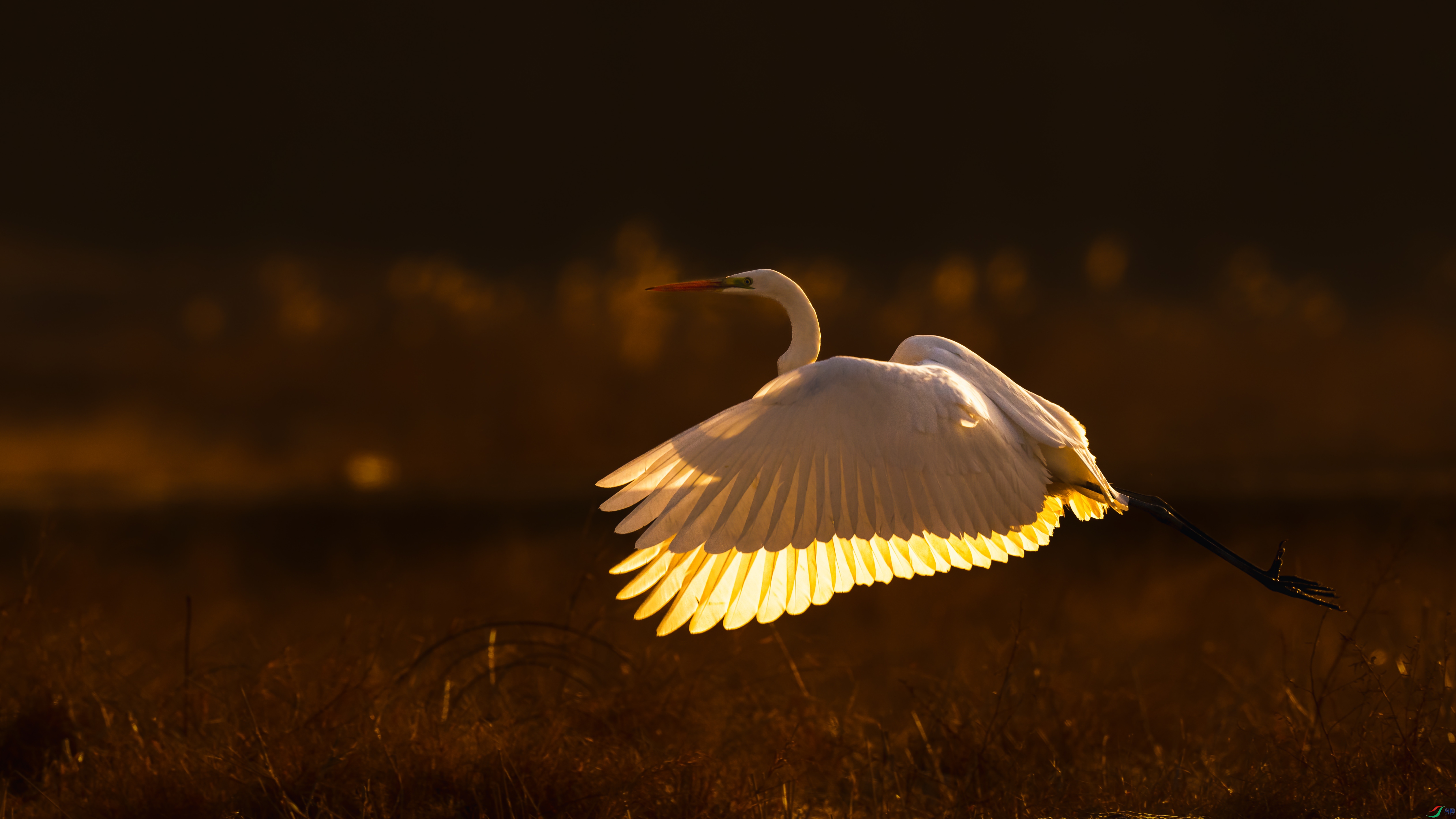 _DSC7580 ����.jpg