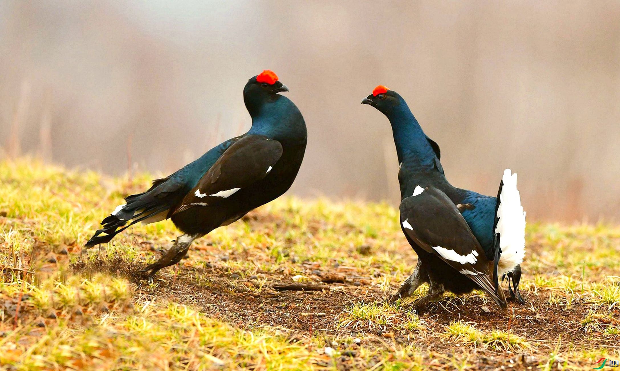 ��ս�ڼ���