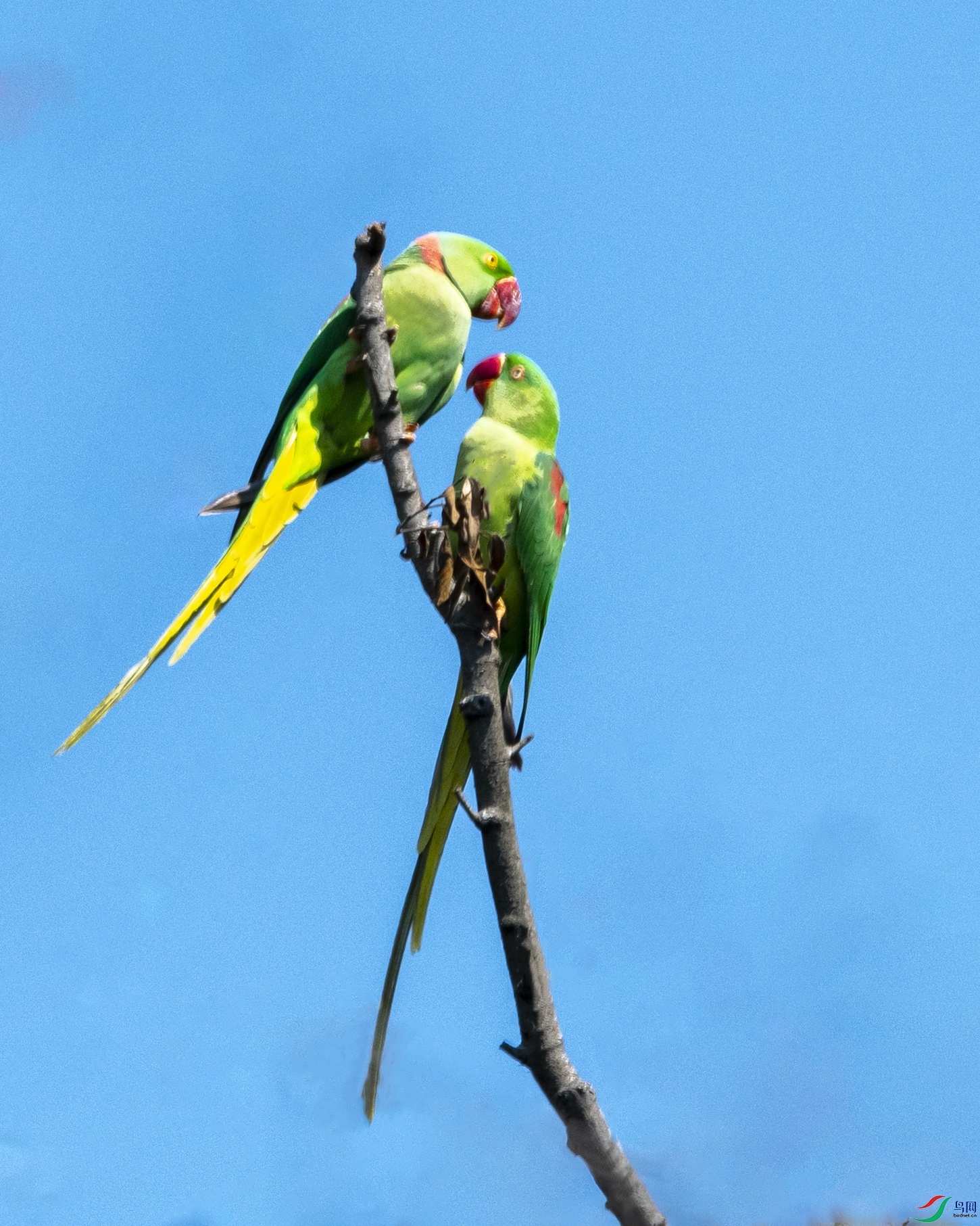 0064 ����.jpg