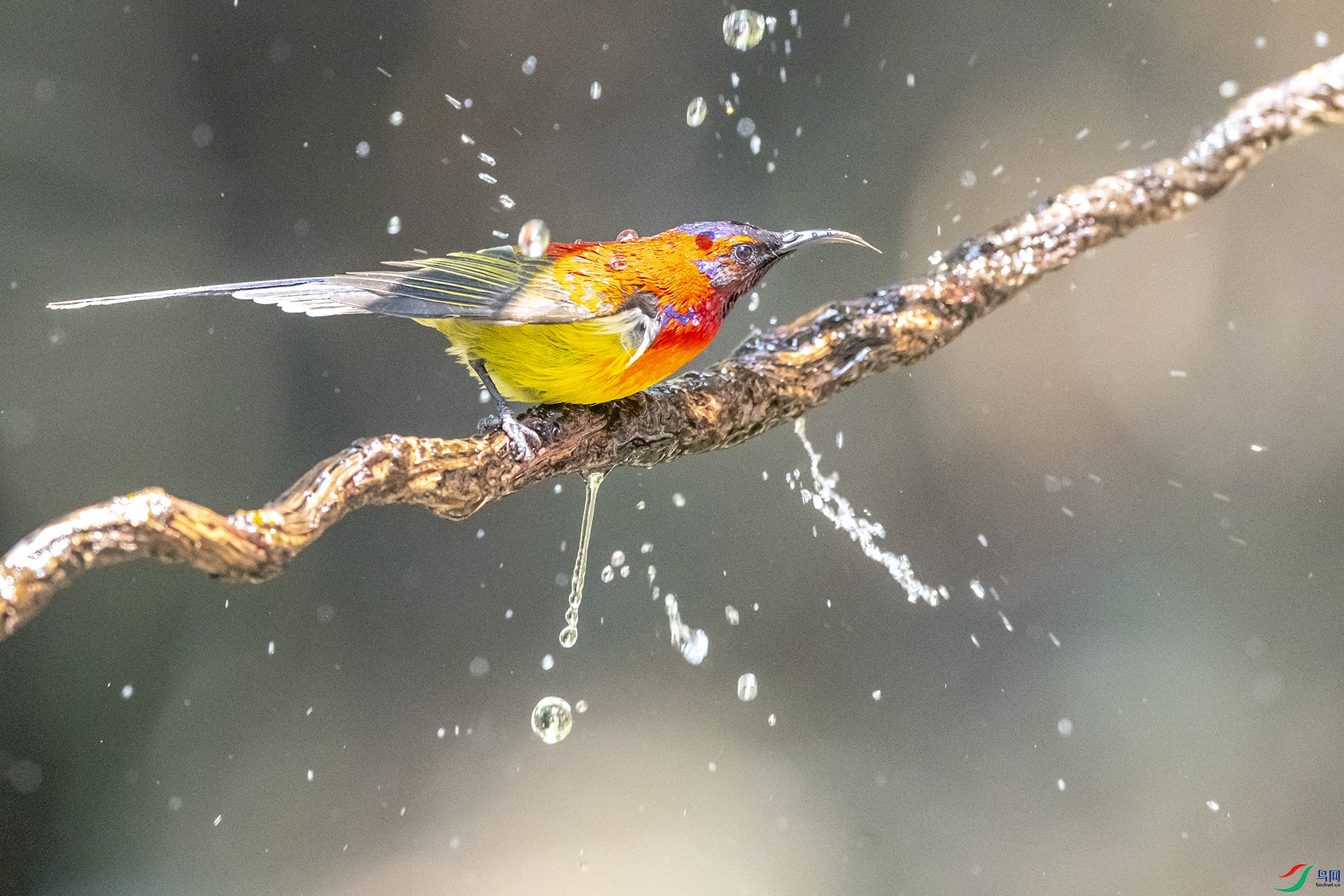 2524 ����.jpg