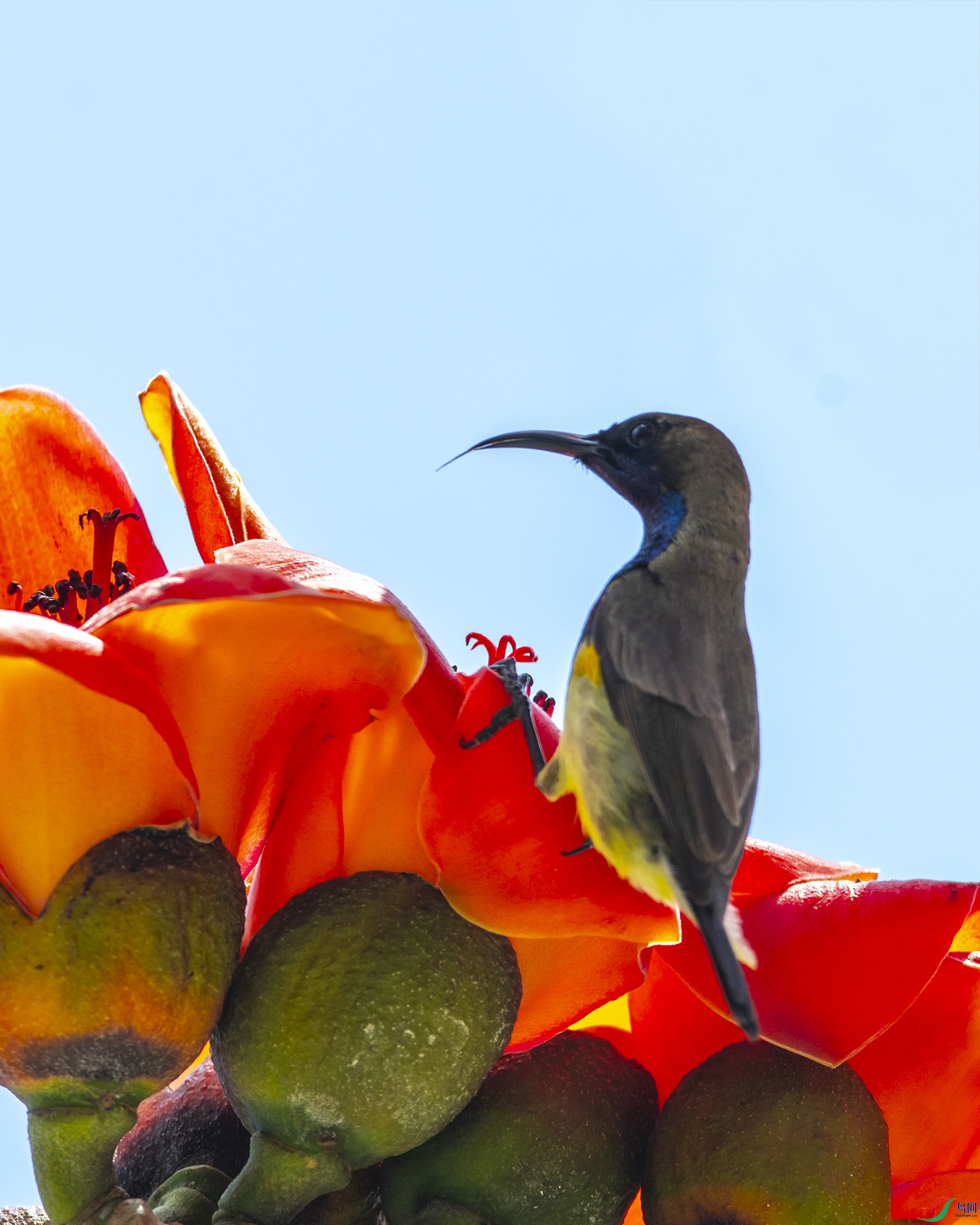 4227 ����.jpg