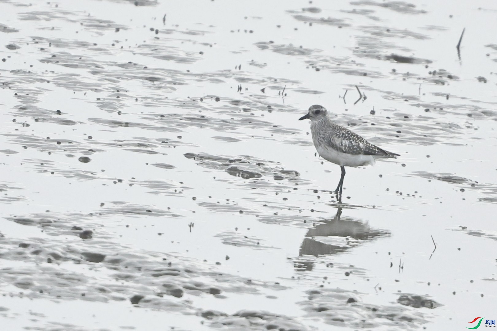 ���a ������_98A6596.jpg