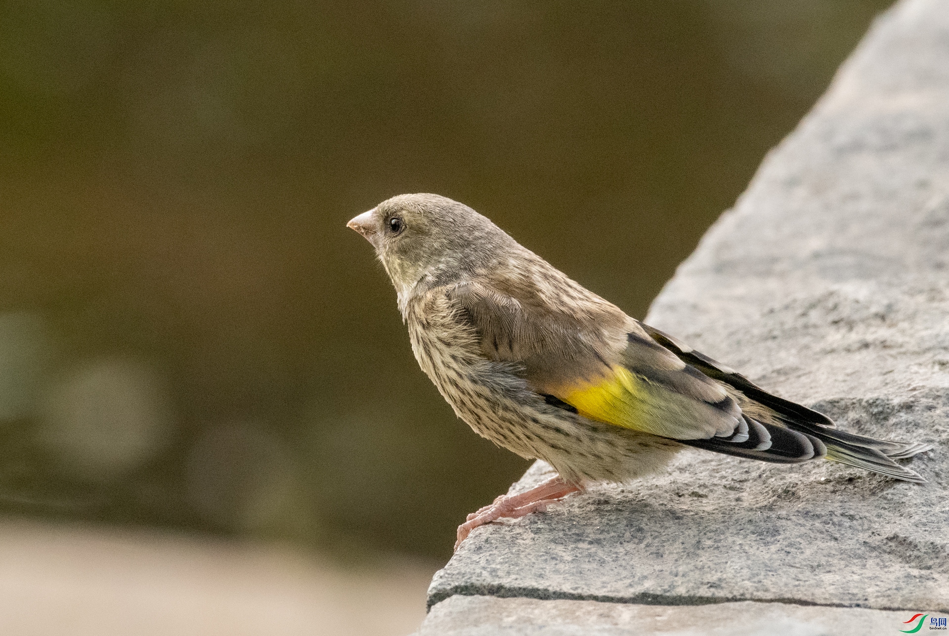 DSC_4050.jpg