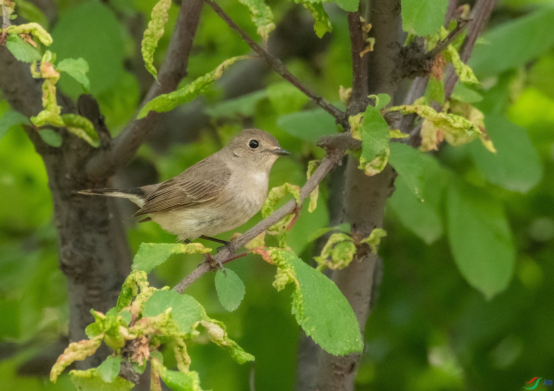 DSC_4062.jpg
