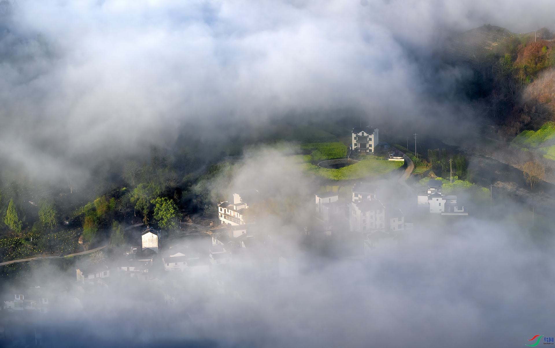 DSC_1537 - �����ƿ���ɢʱ.jpg