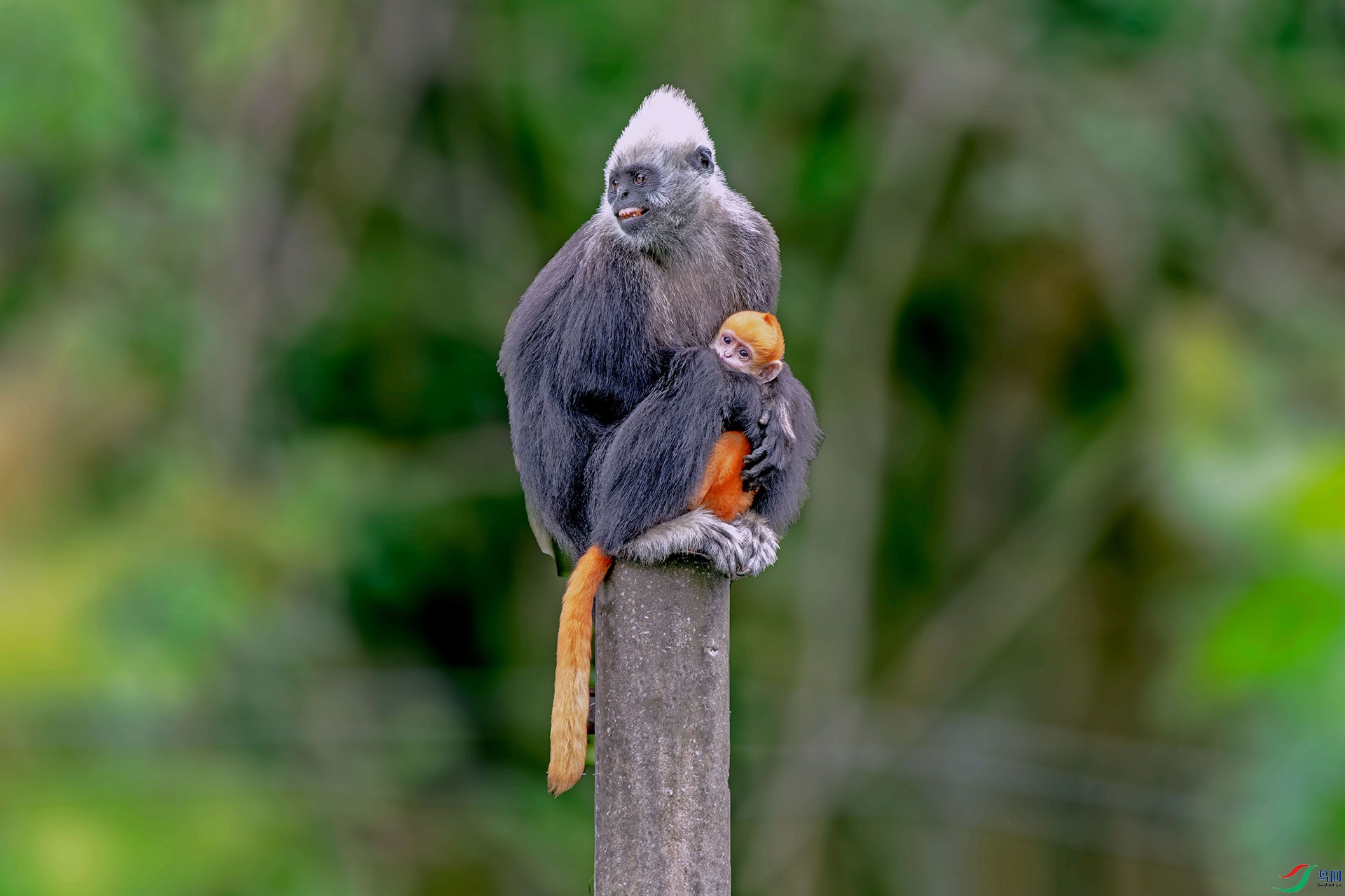 _DSC0775 ����.jpg