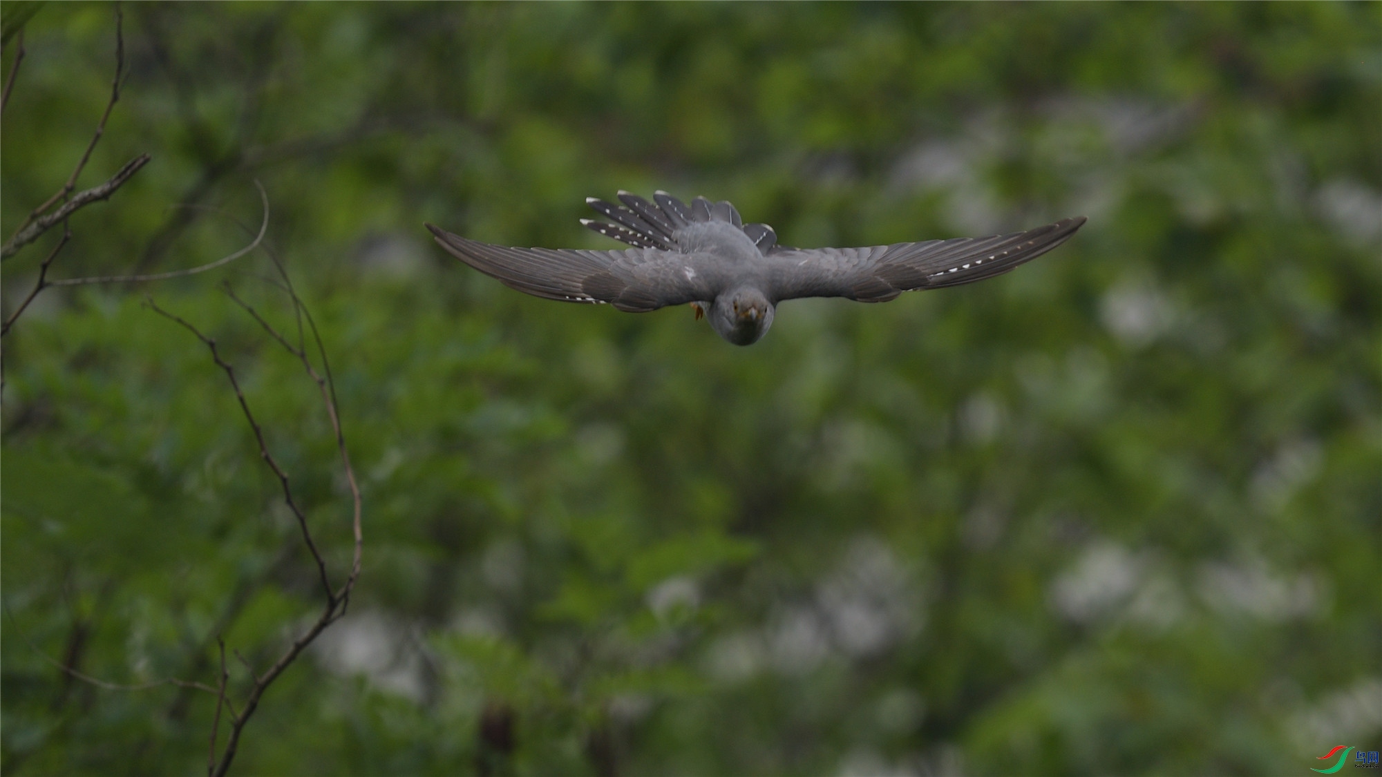 ��ž��������ݴ���ɽ (1)_����.jpg