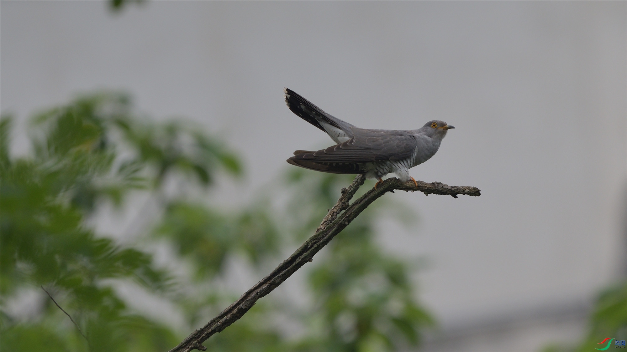 ��ž��������ݴ���ɽ (3)_����.jpg