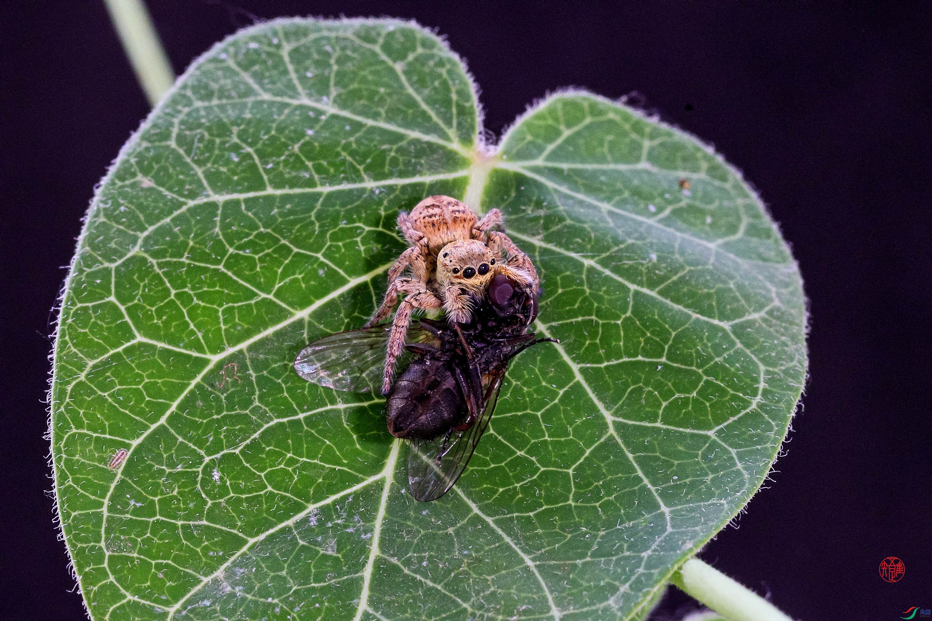 _23_8964x ����.jpg