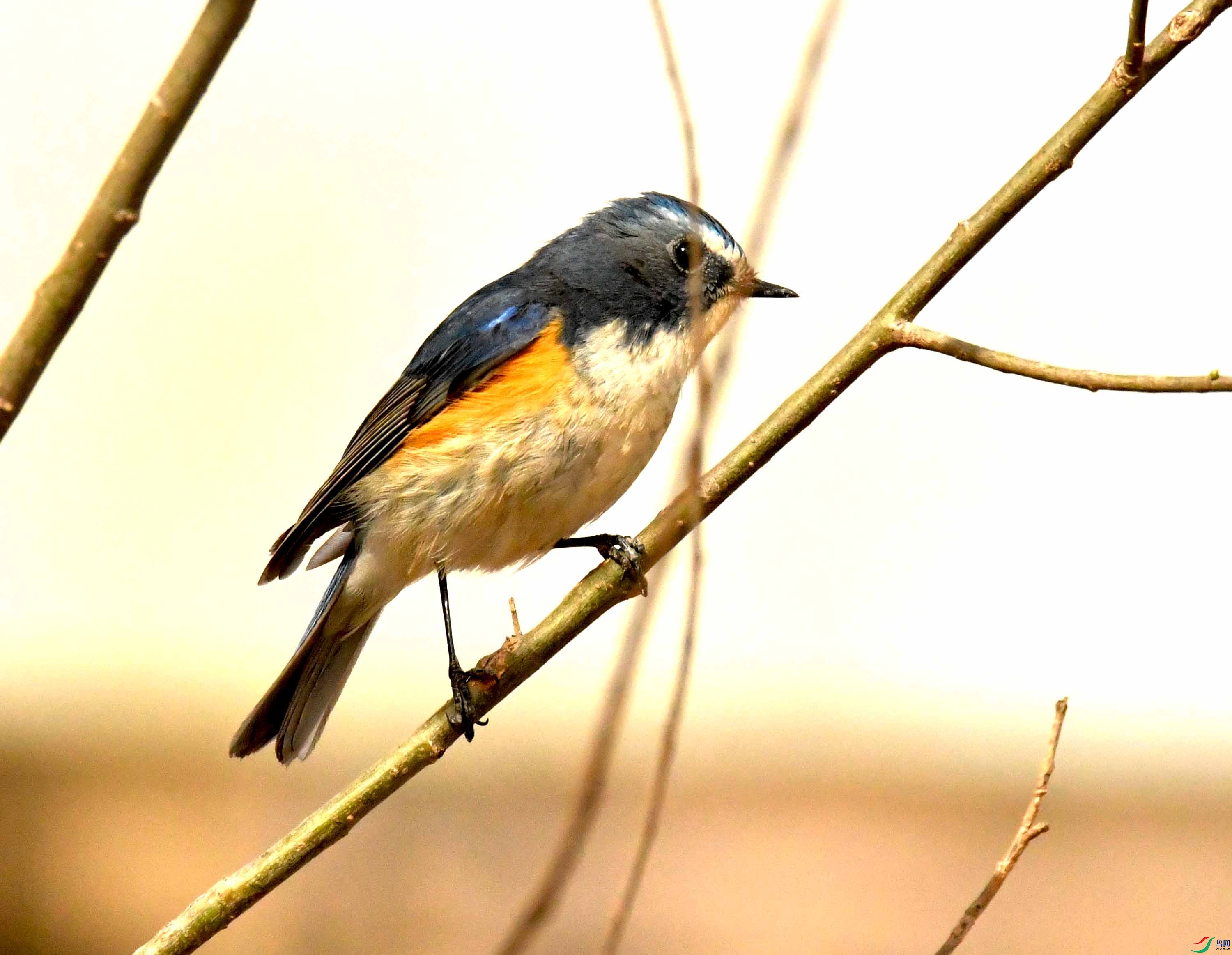 DSC_1234.JPG