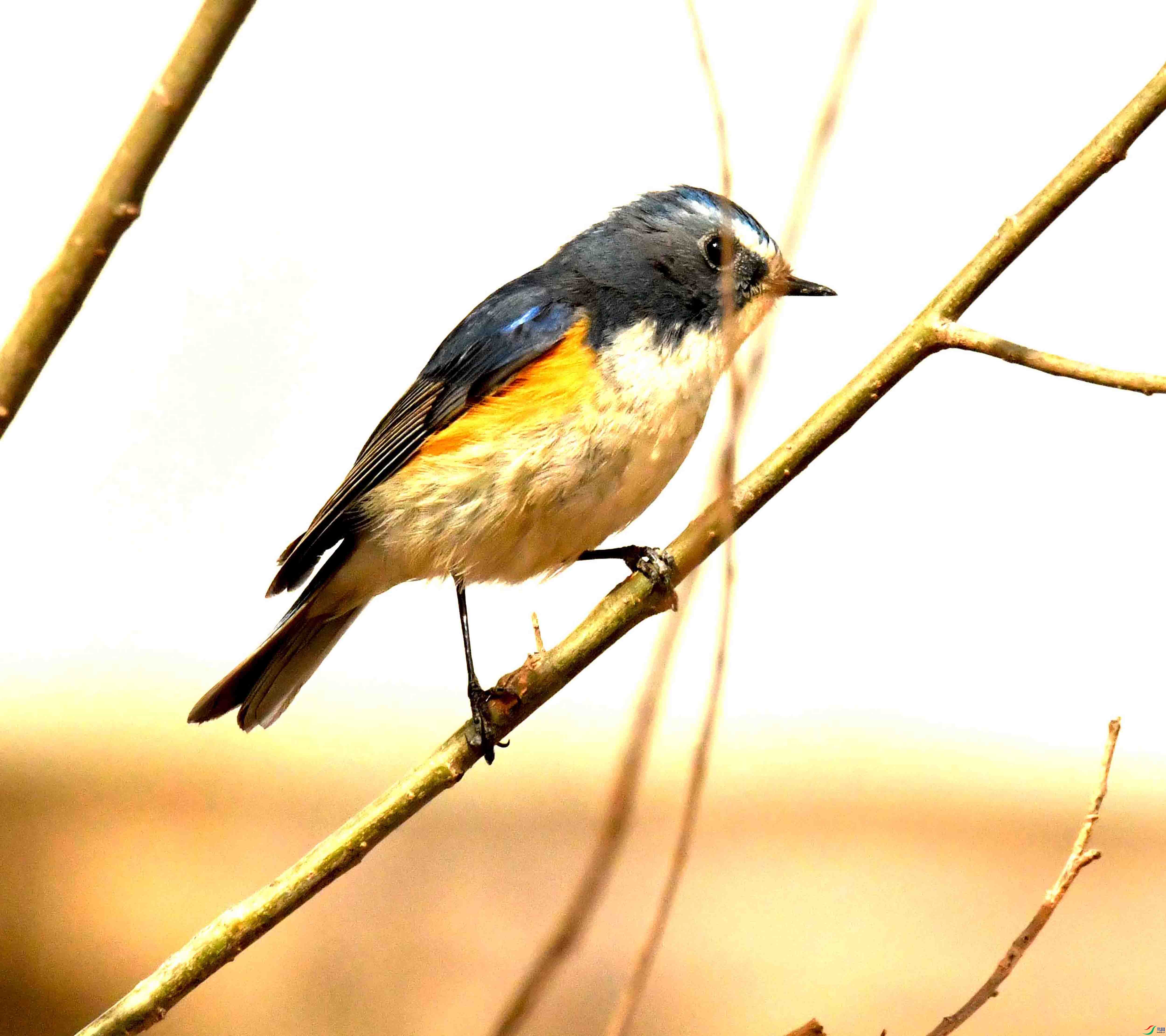 DSC_1235.JPG