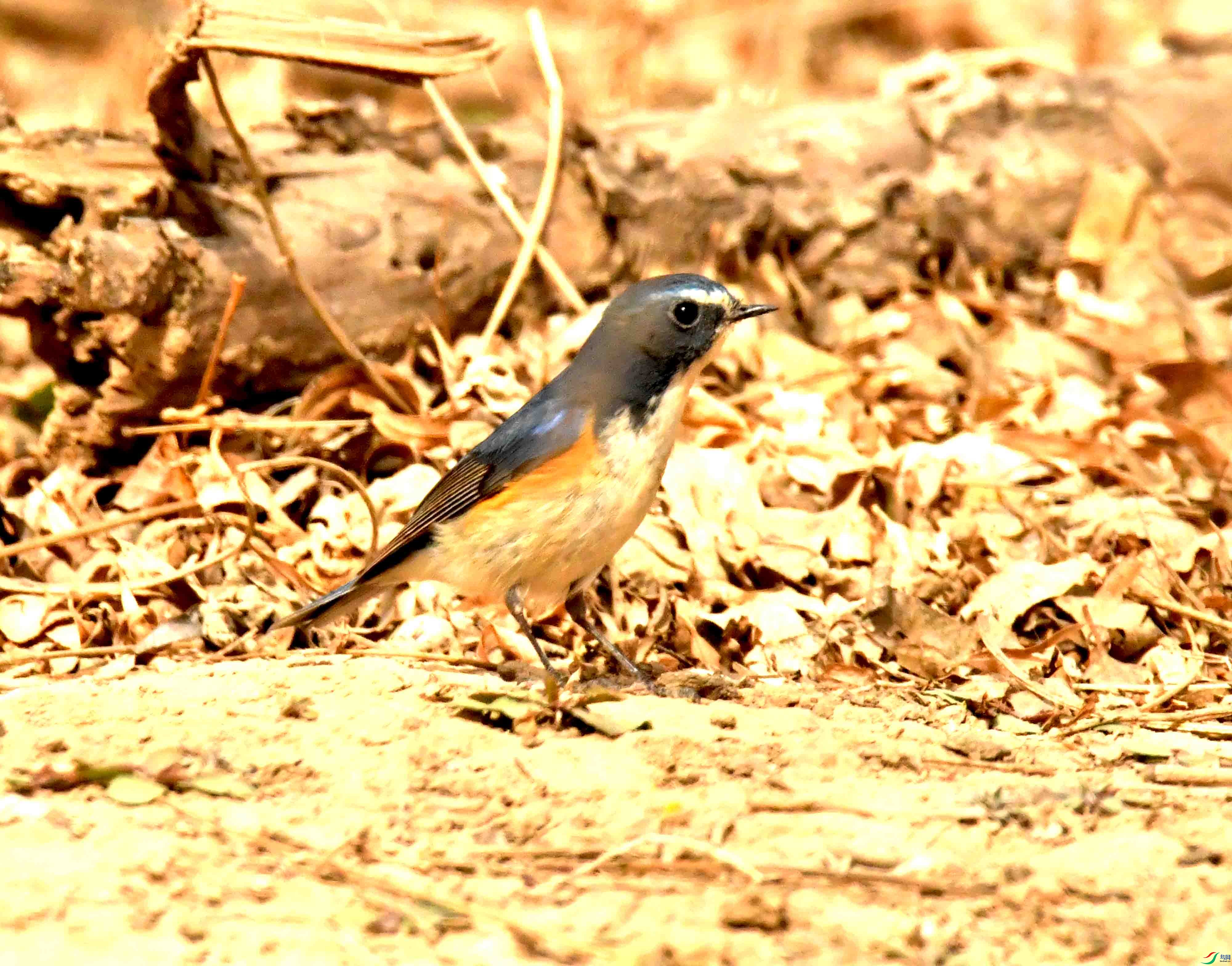 DSC_1258.JPG