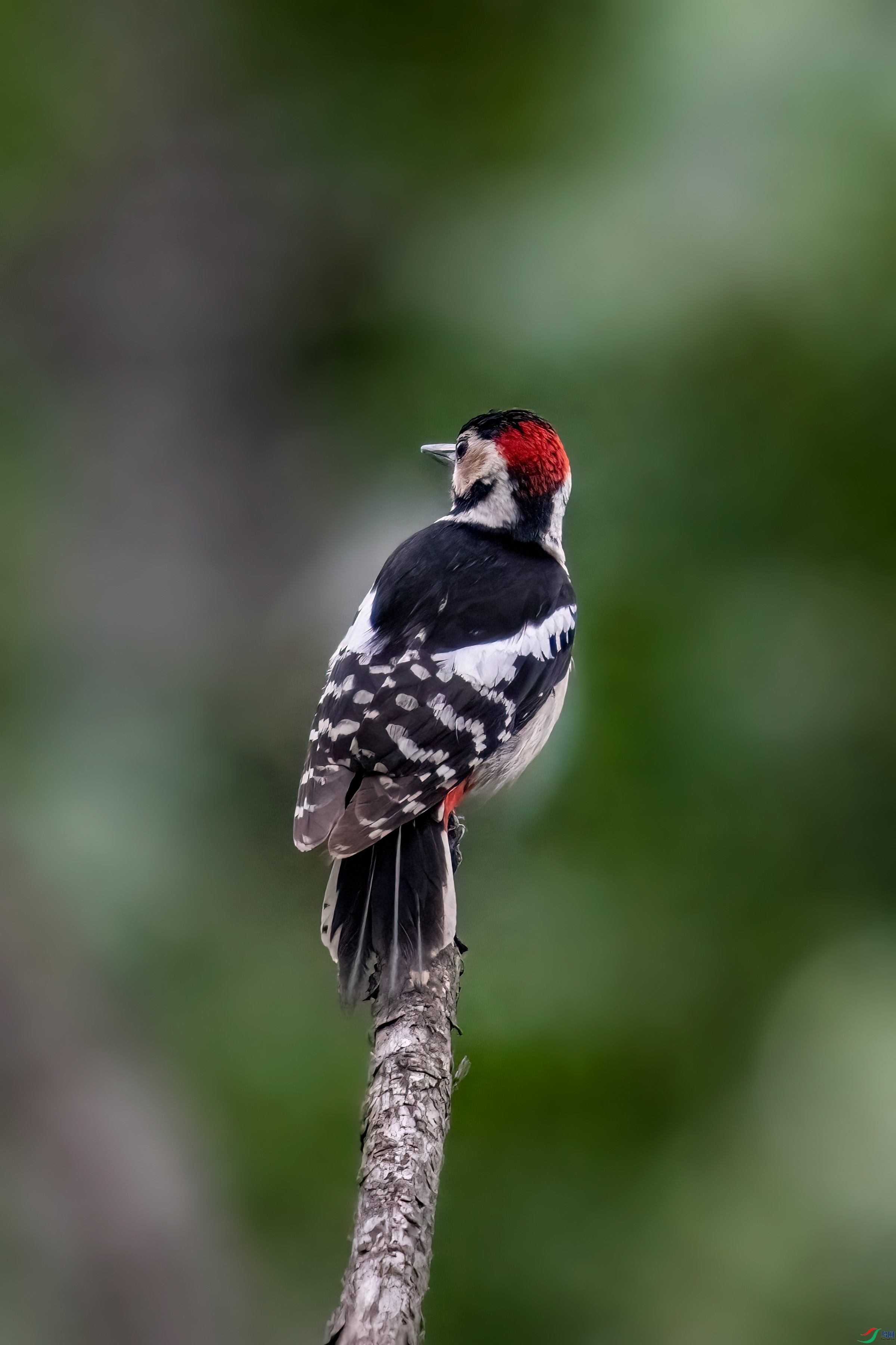 DSC_4167.jpg