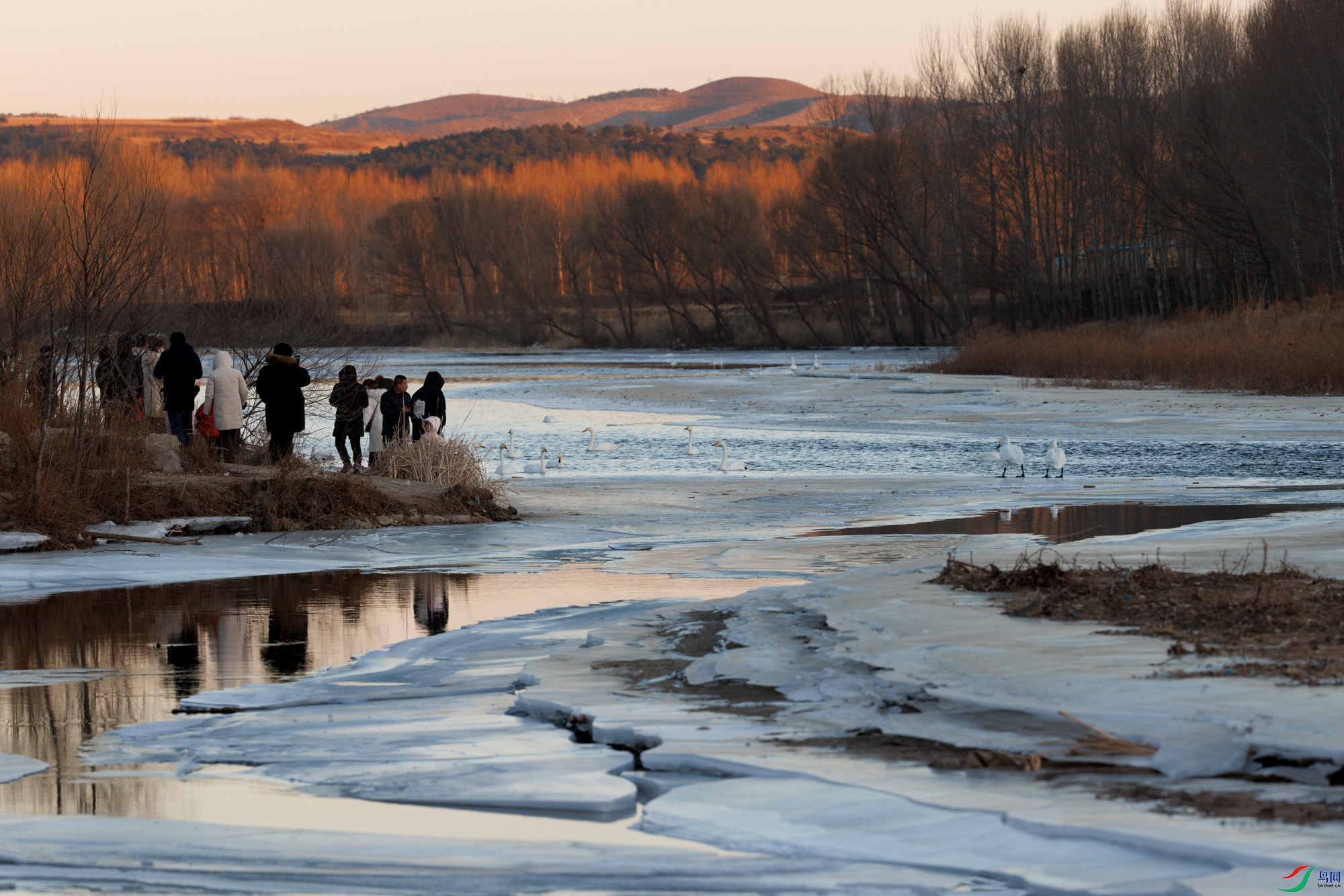 3Z6A1956 ����.jpg