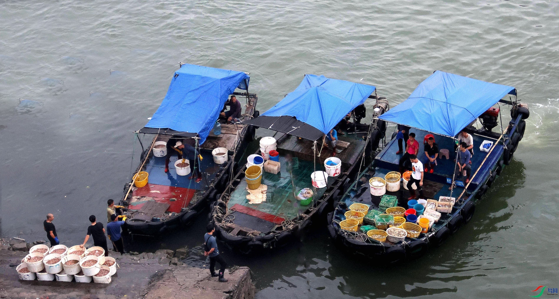 ������ͷ