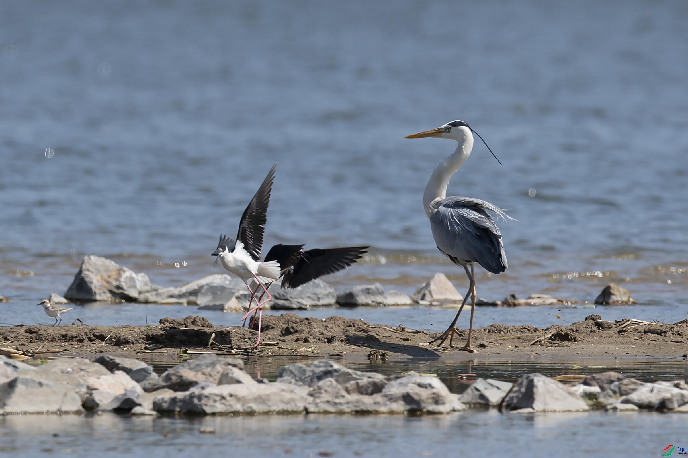DSC_6685.jpg