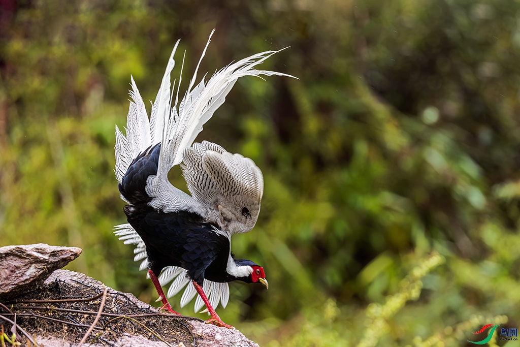 fjyaR230325 (2273)_DxO.jpg