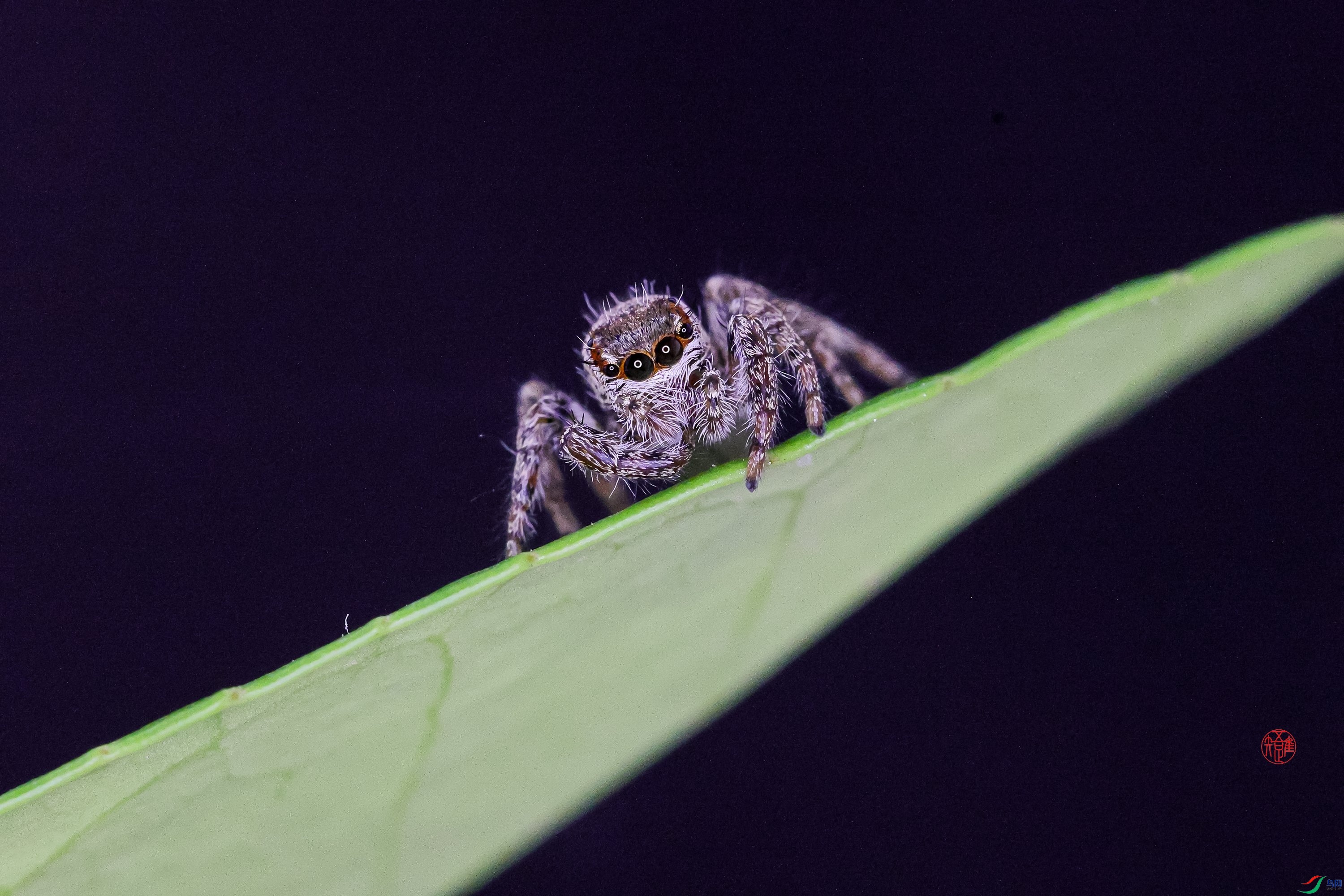 _23_7600 ����.jpg