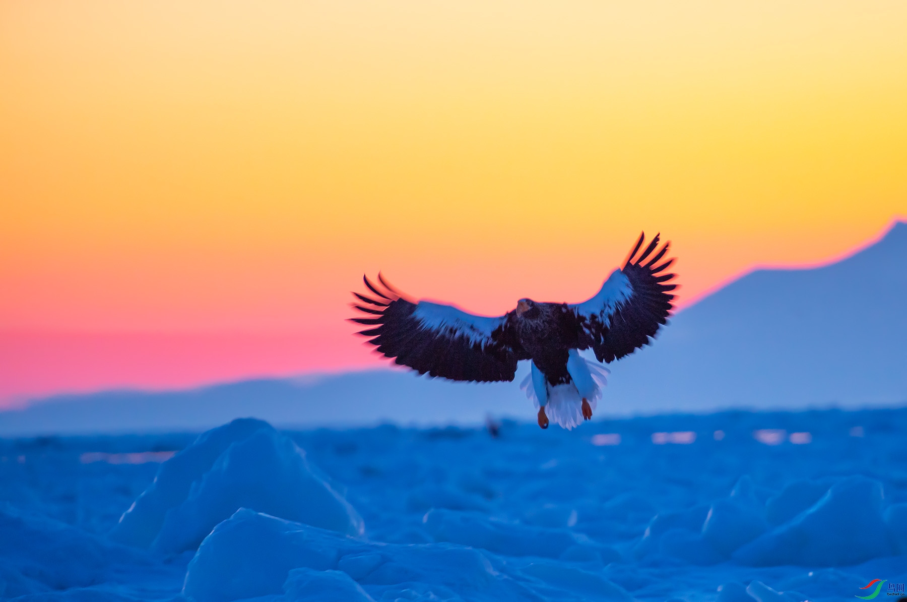��DSC_0659.jpg