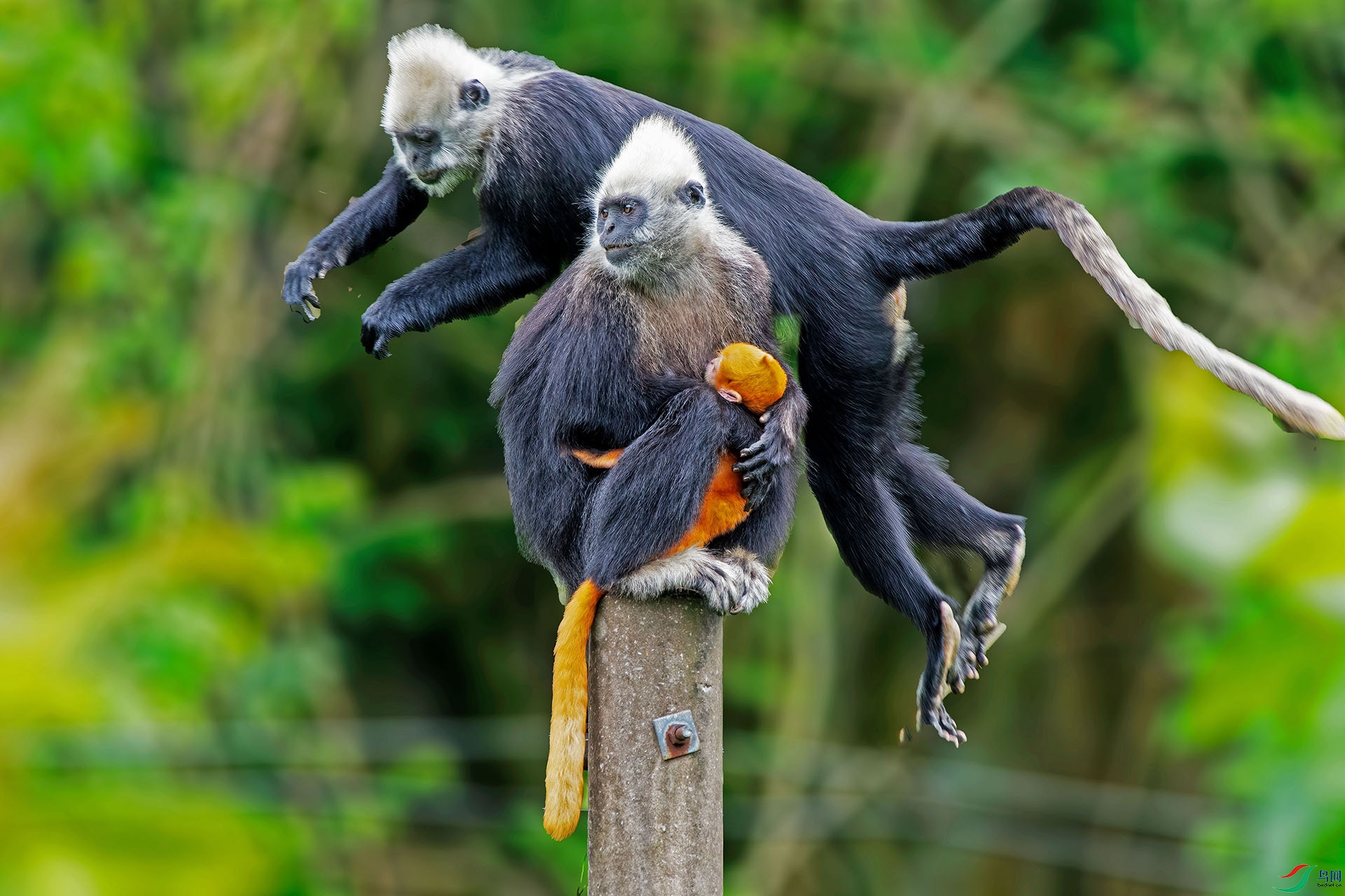 _DSC0704 ���� 2.jpg