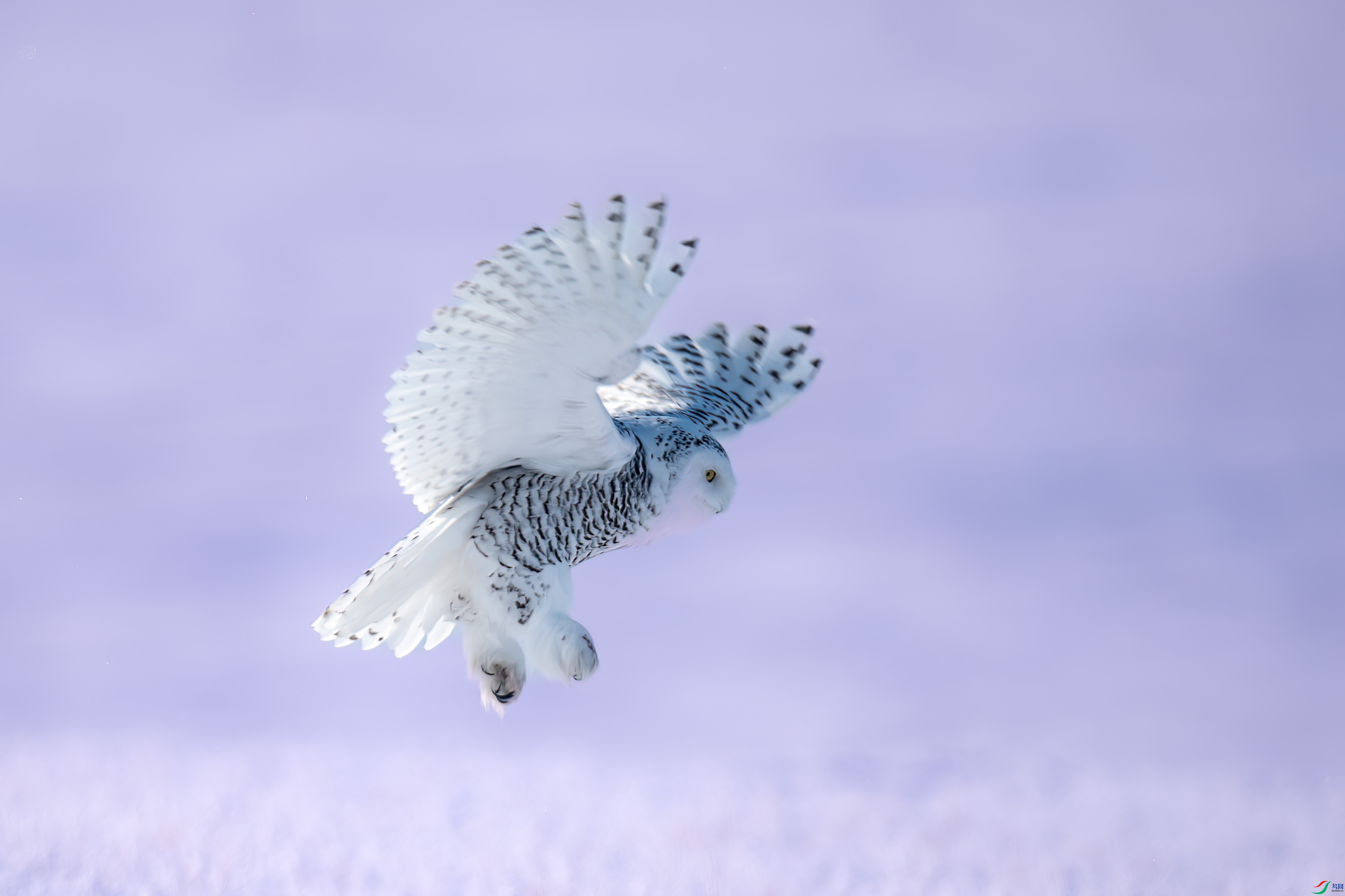 _LZP7224-2.jpg