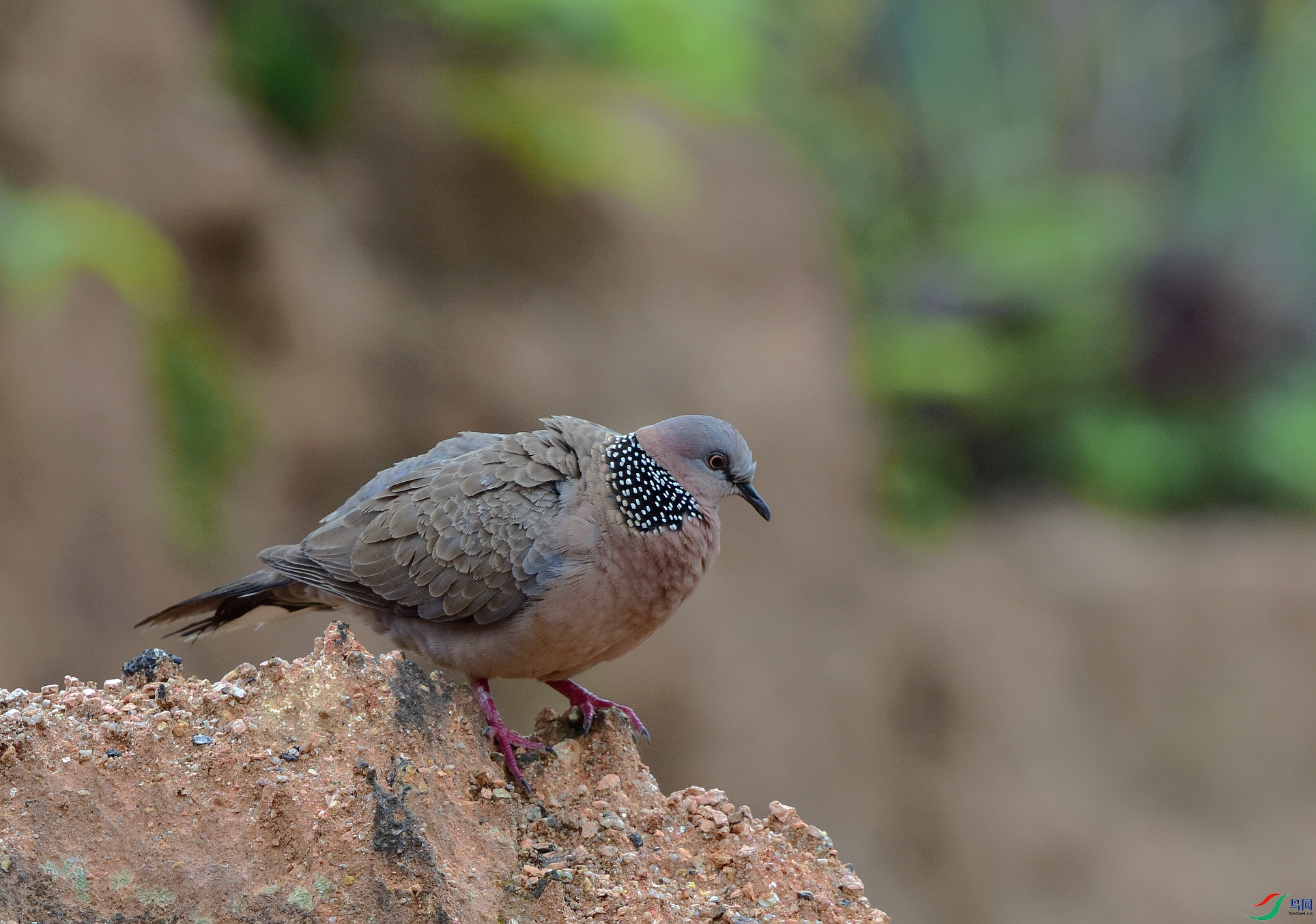 D8I_3563.jpg