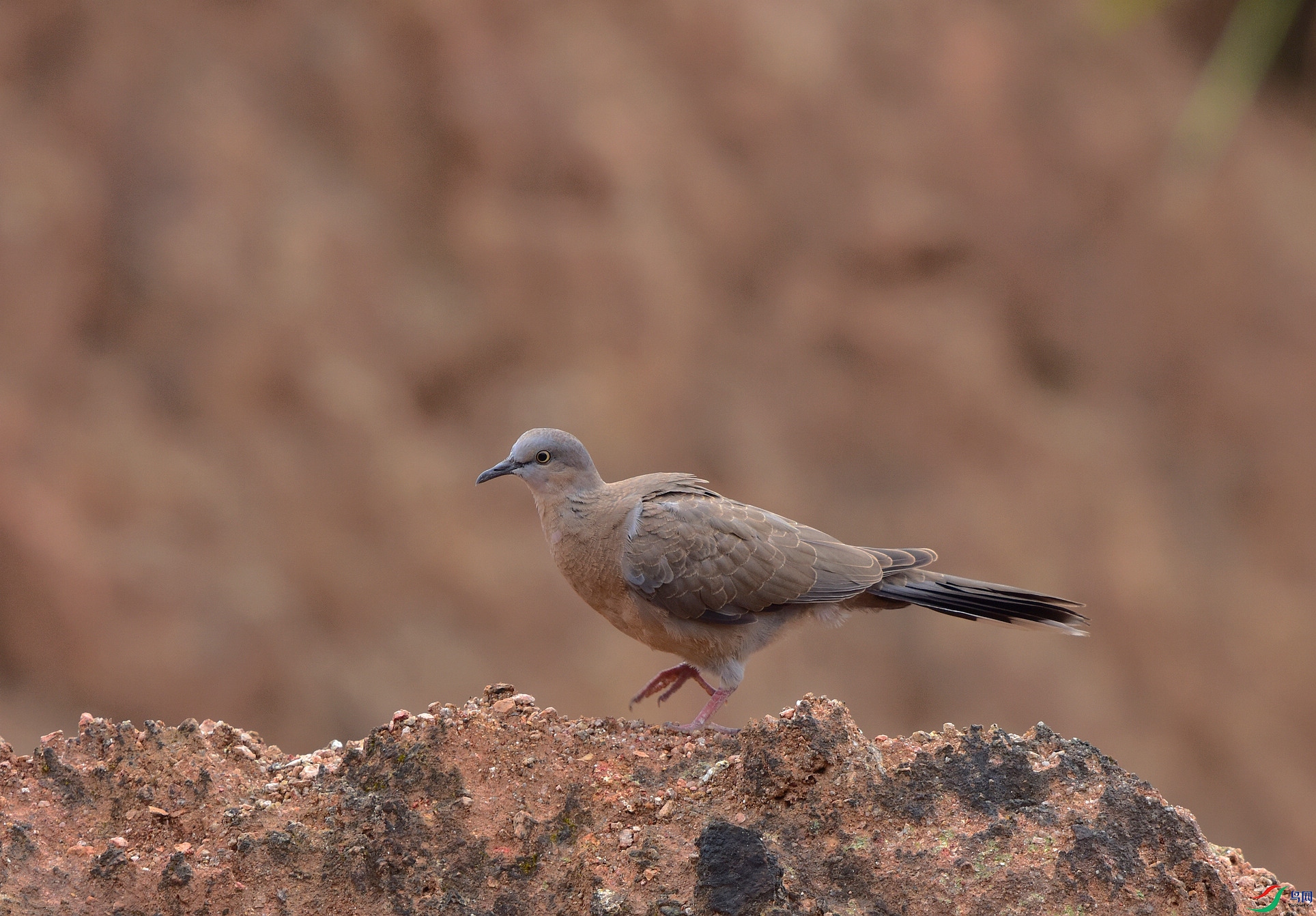 D8I_3564.jpg