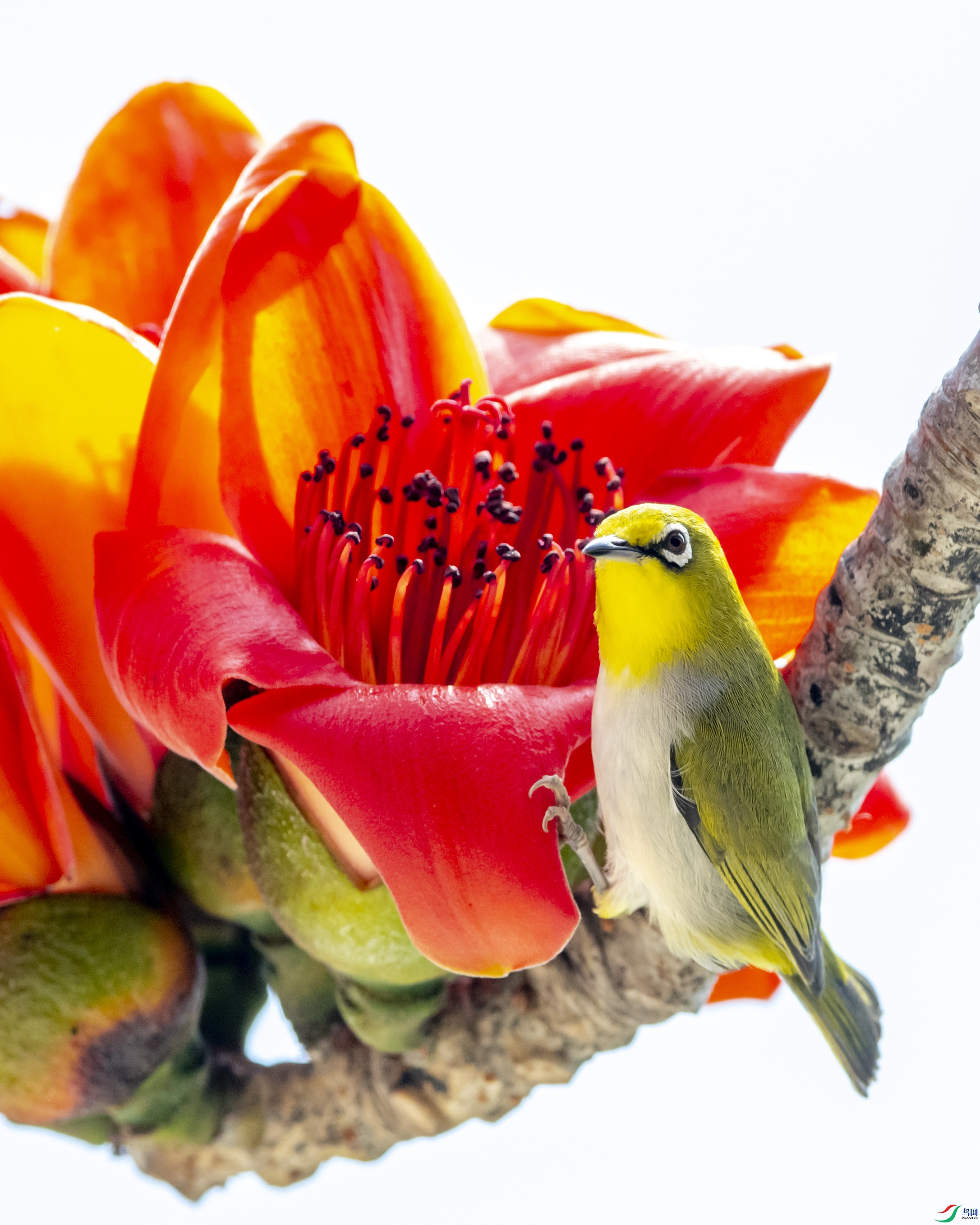 4331 ����.jpg