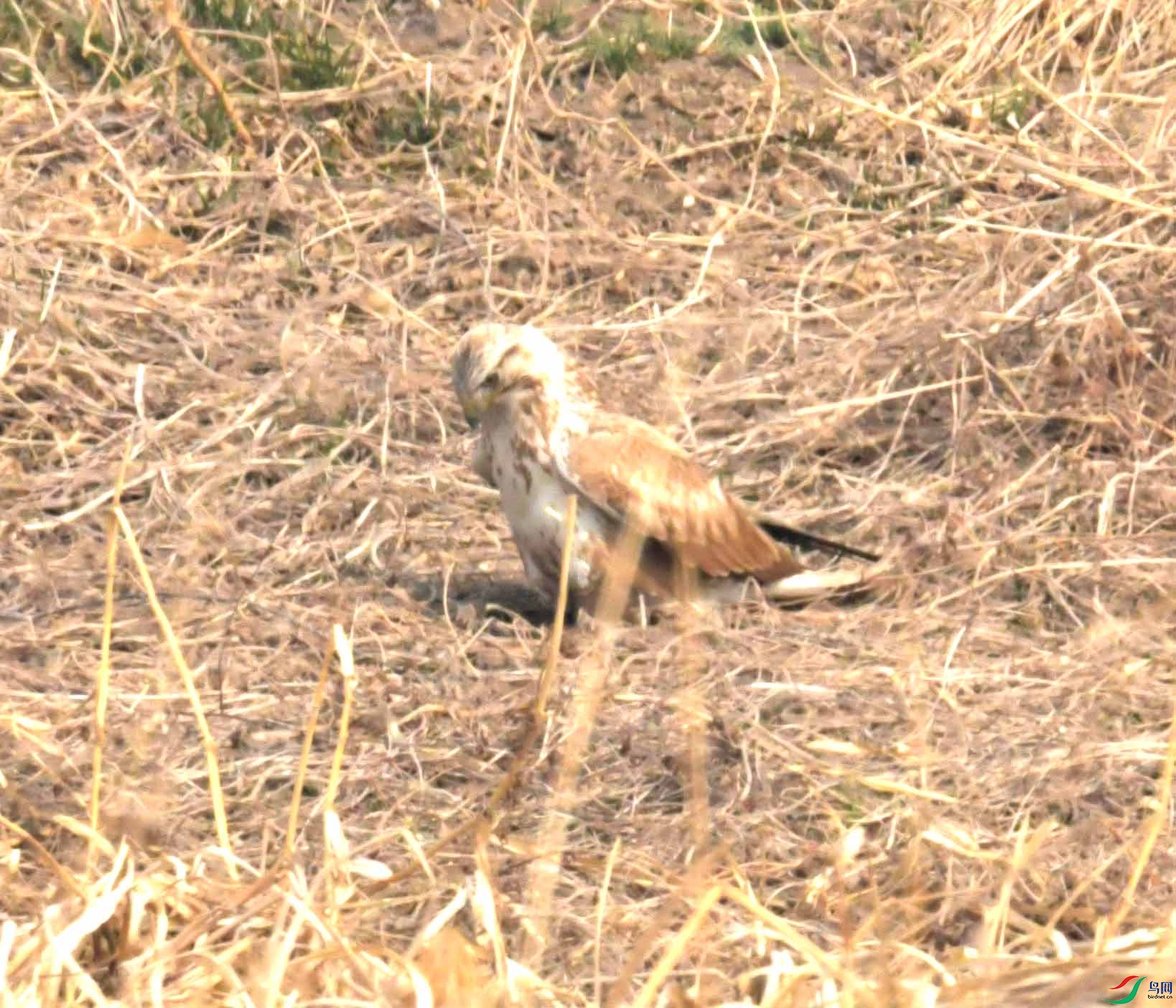 DSC_2173.JPG