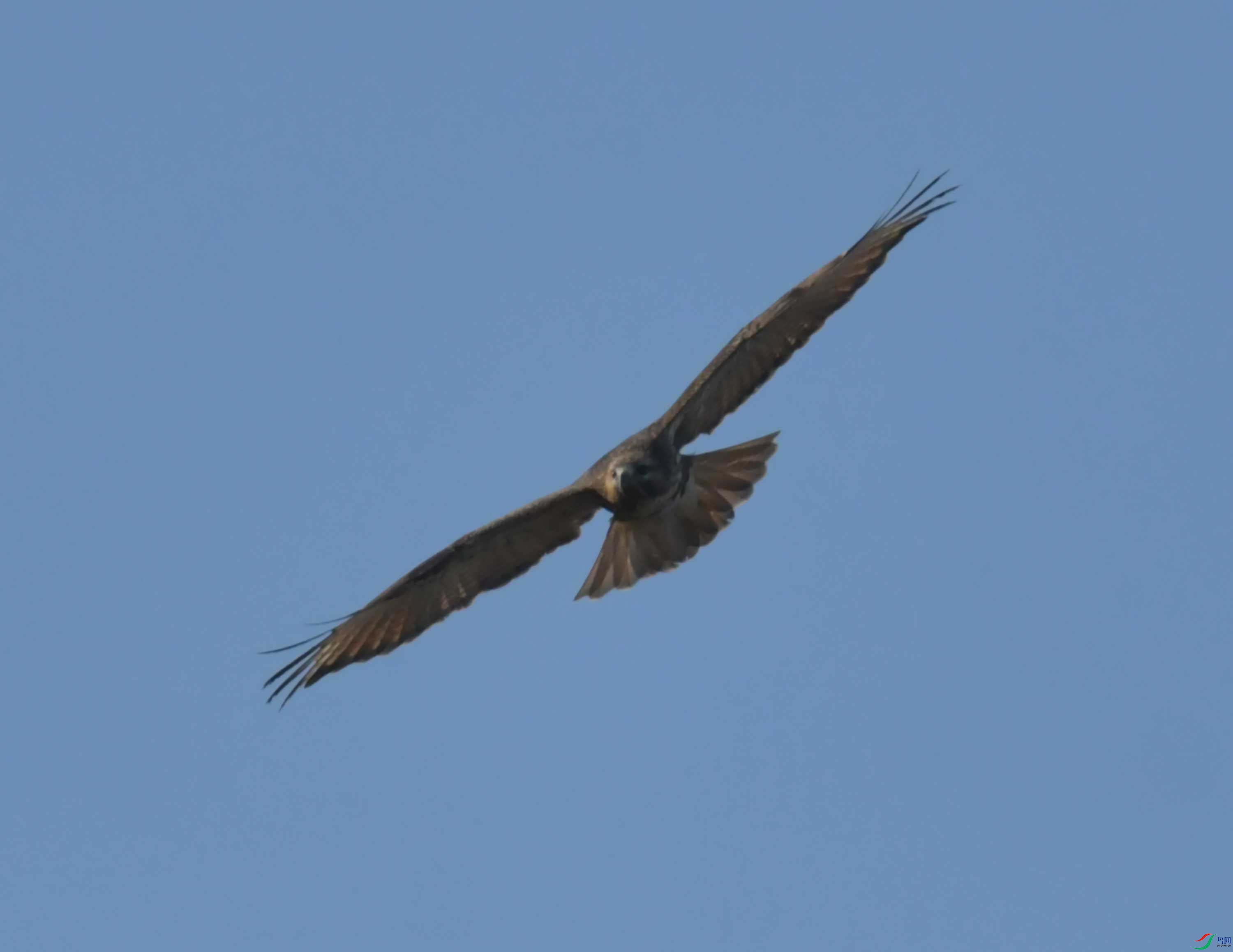 DSC_0724.JPG