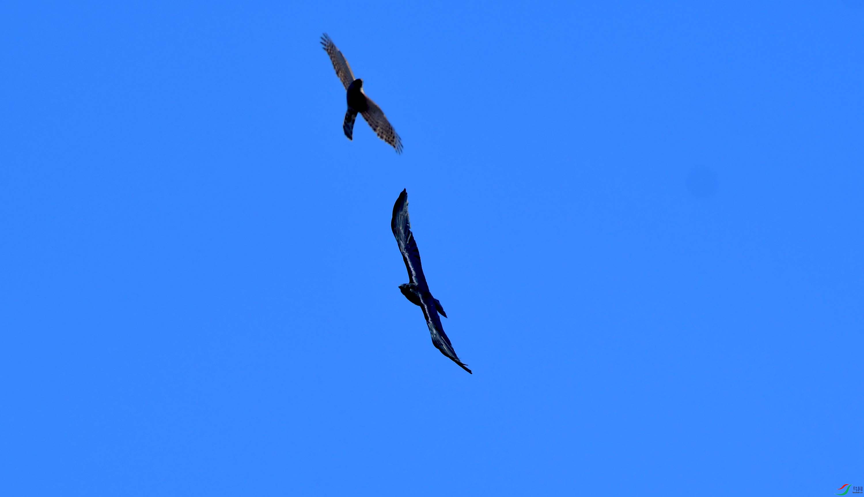 DSC_0797.JPG