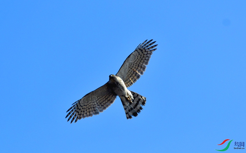 DSC_1070_��ͼ��.jpg