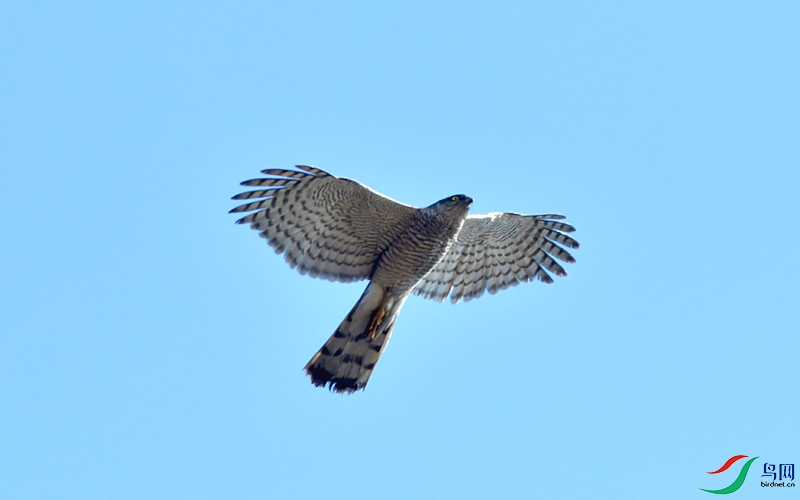 DSC_1067_��ͼ��.jpg