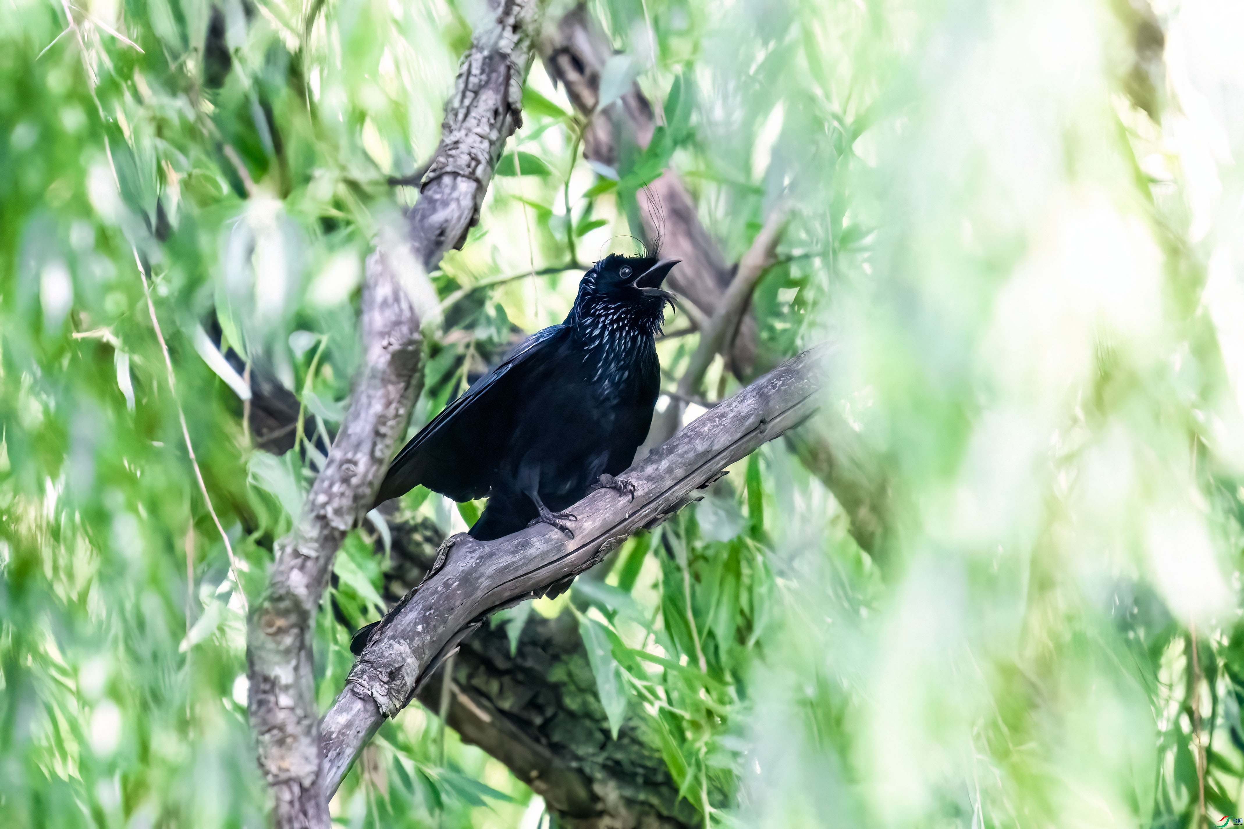 DSC_4655.jpg