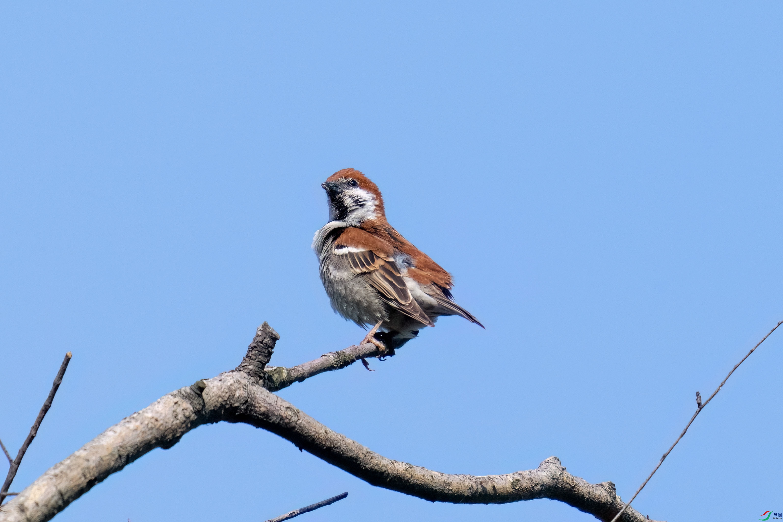 DSC_4570.jpg