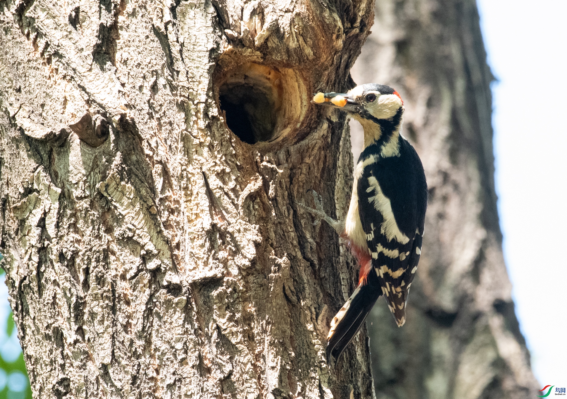 DSC_5134.jpg
