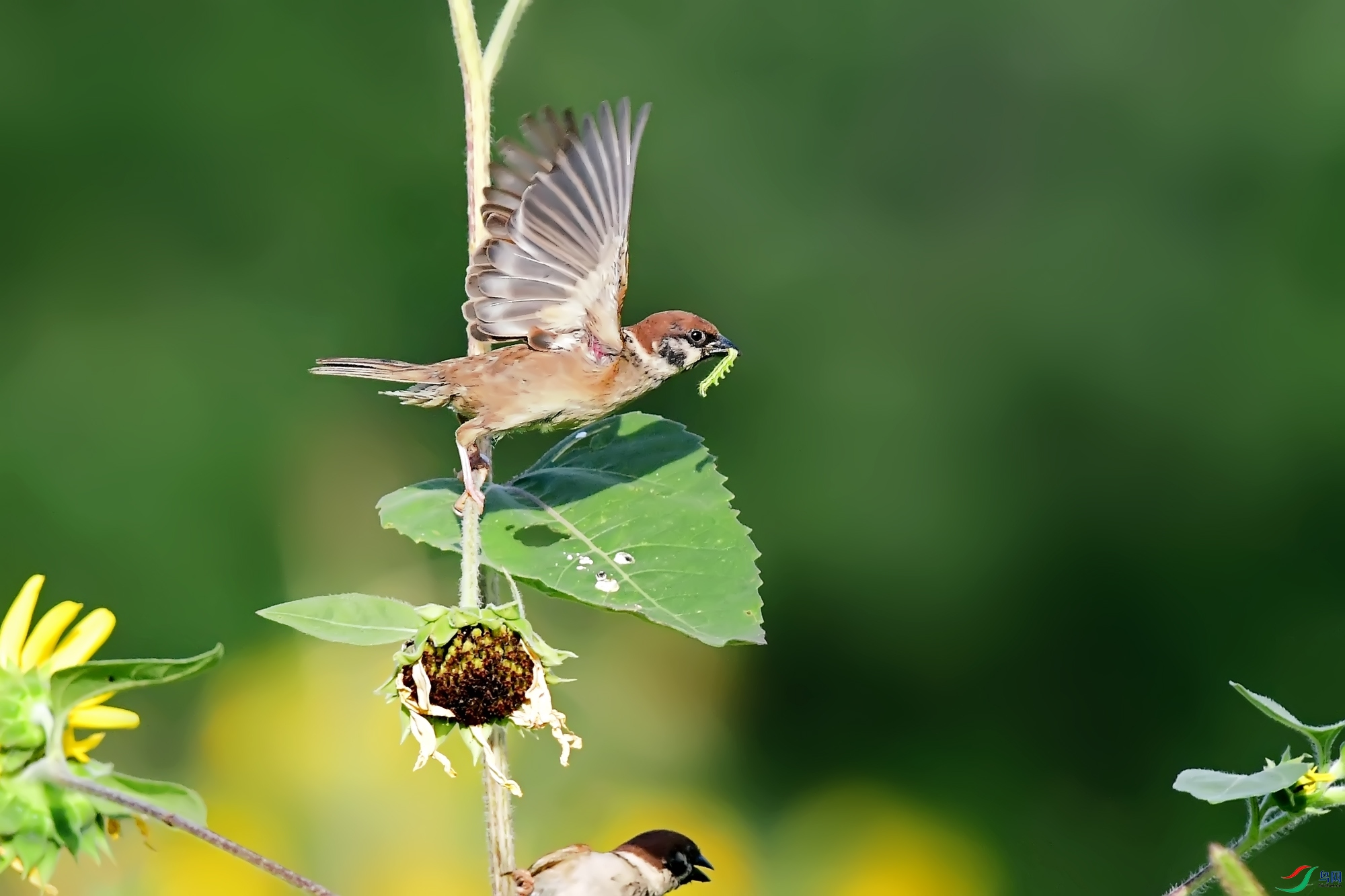 DSC_0415.jpg